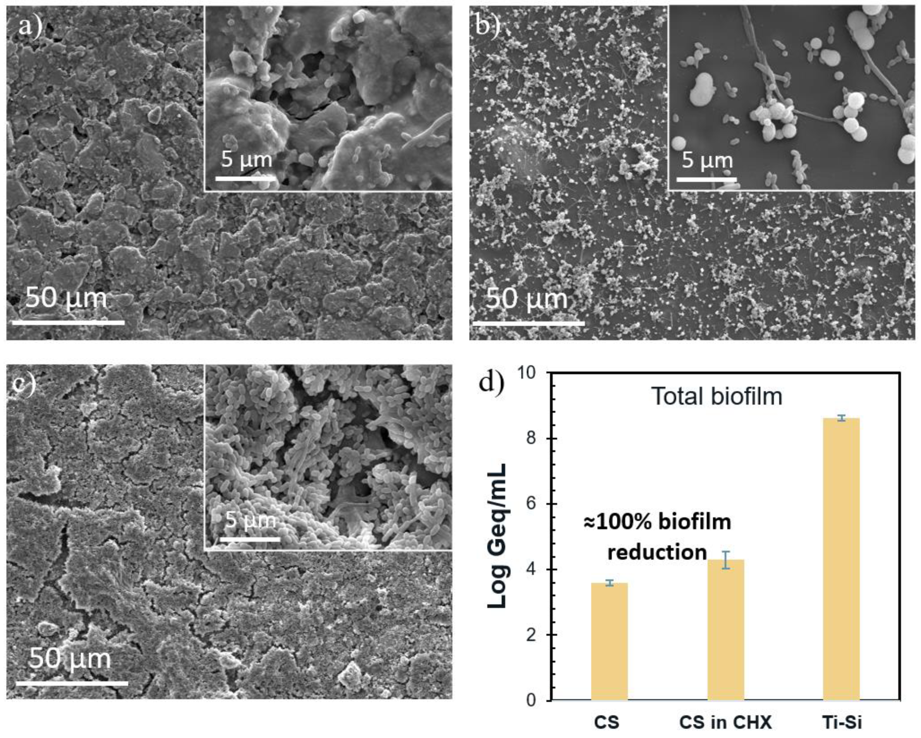 Pharmaceutics 16 00377 g007