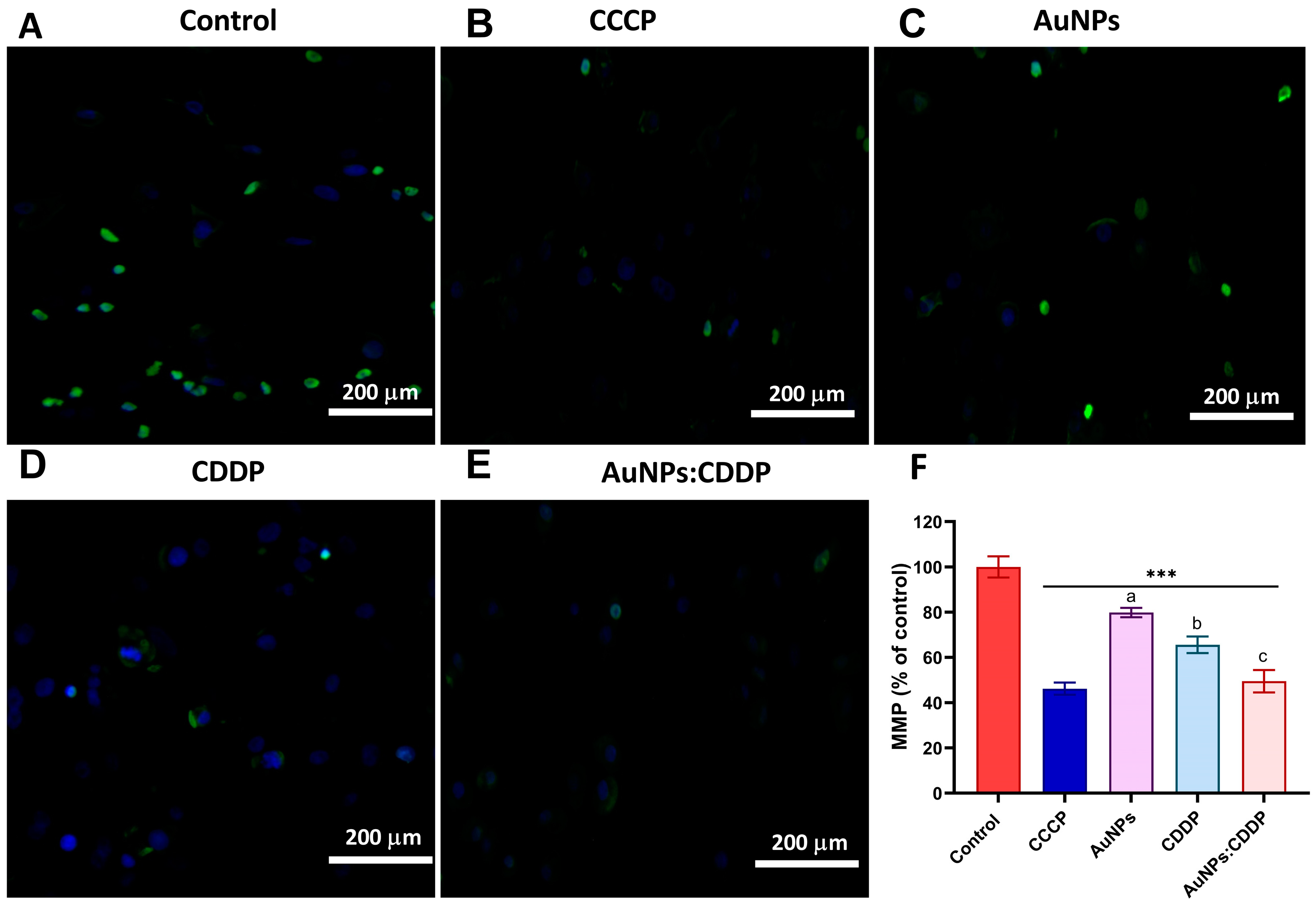 Pharmaceutics 16 00380 g004