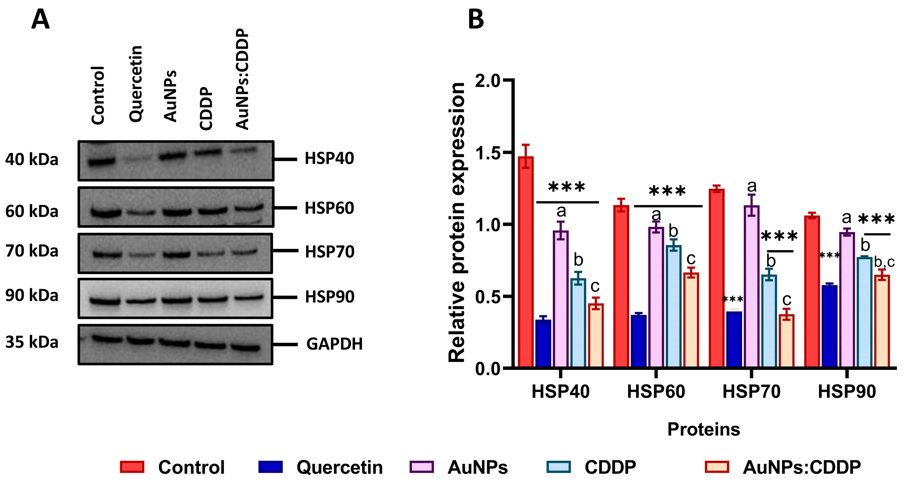 Pharmaceutics 16 00380 g005