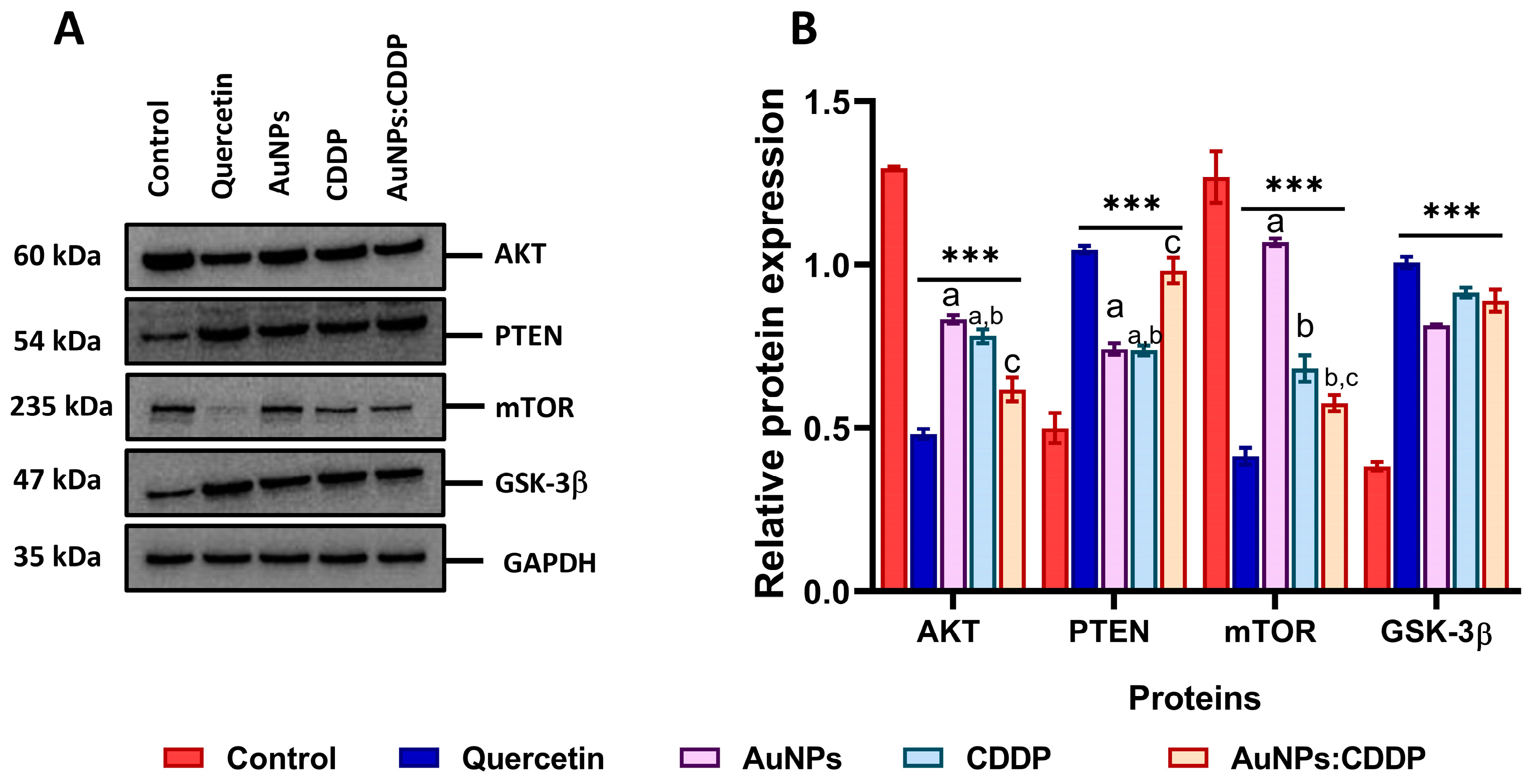Pharmaceutics 16 00380 g006