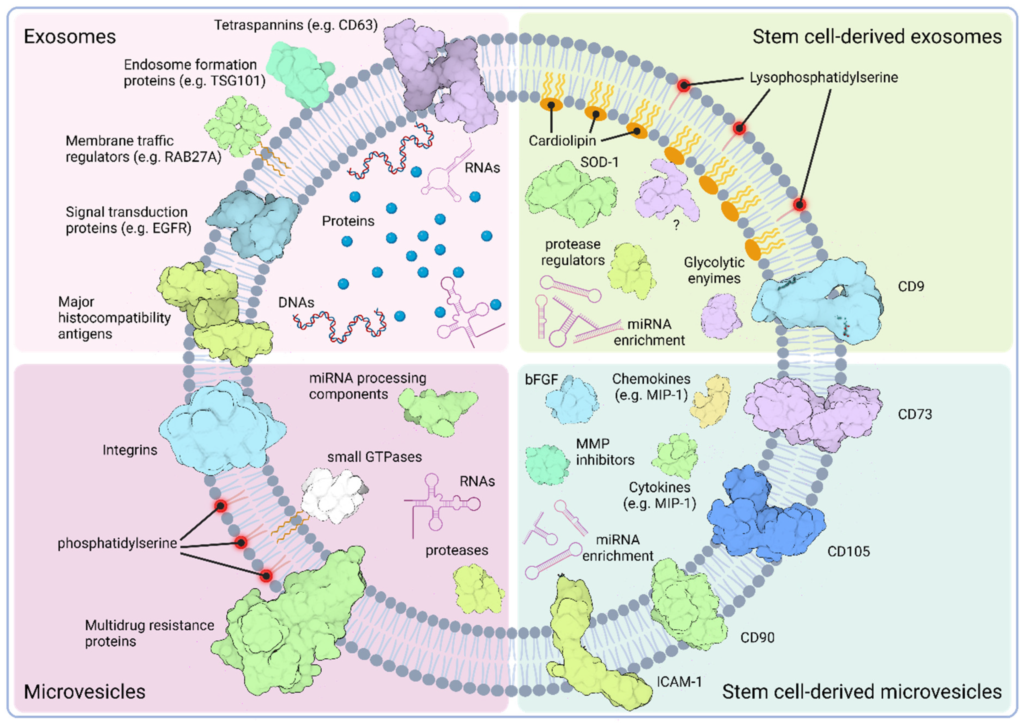 Pharmaceutics 16 00381 g001