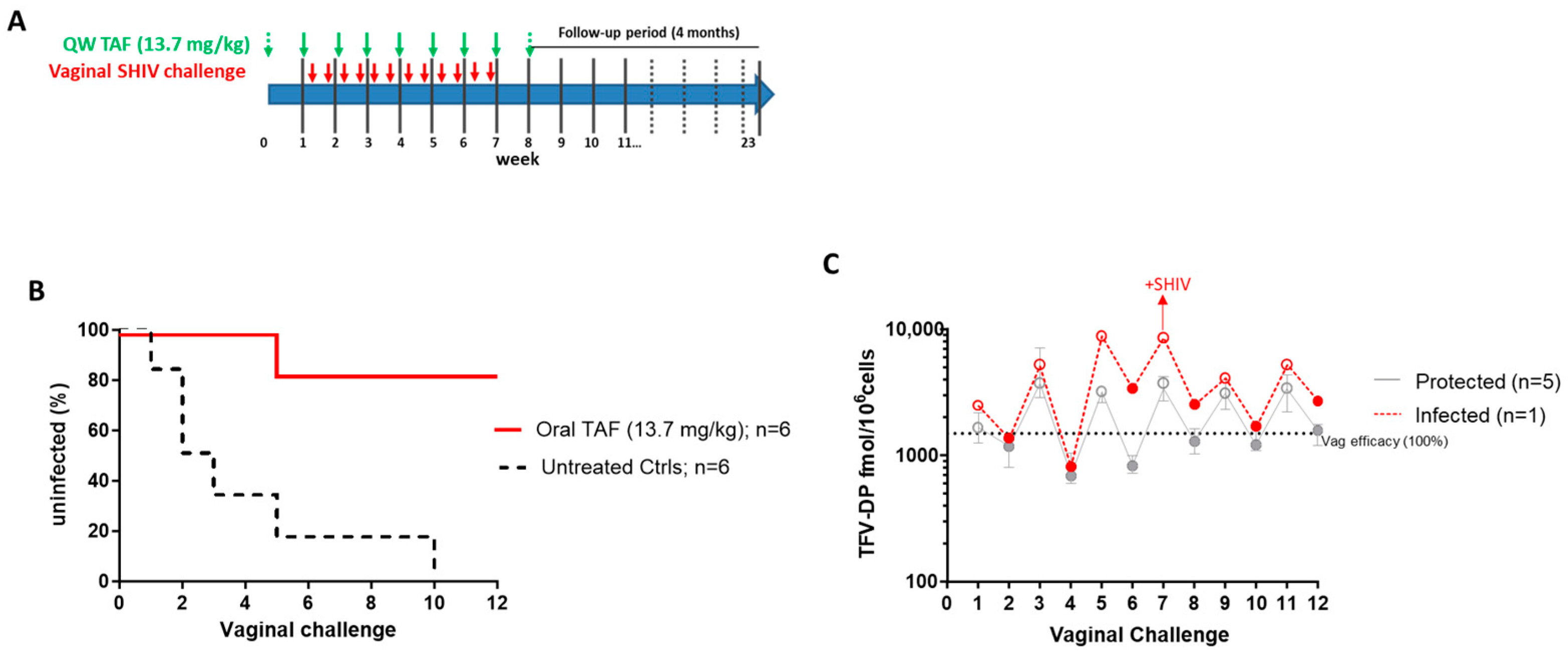 Pharmaceutics 16 00384 g003