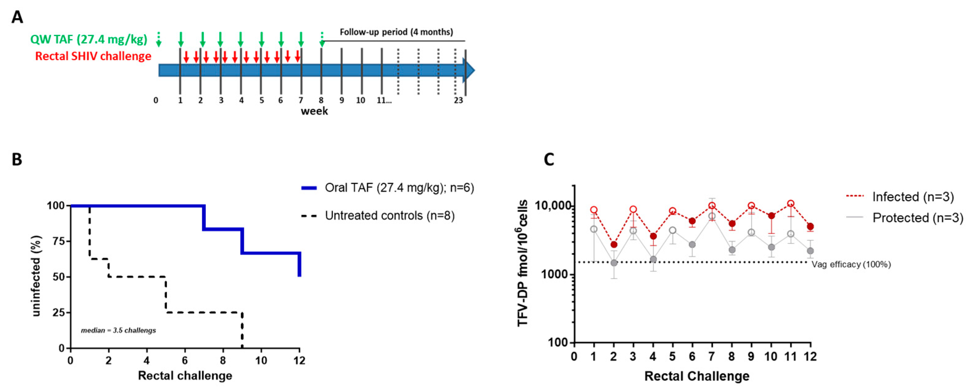 Pharmaceutics 16 00384 g004