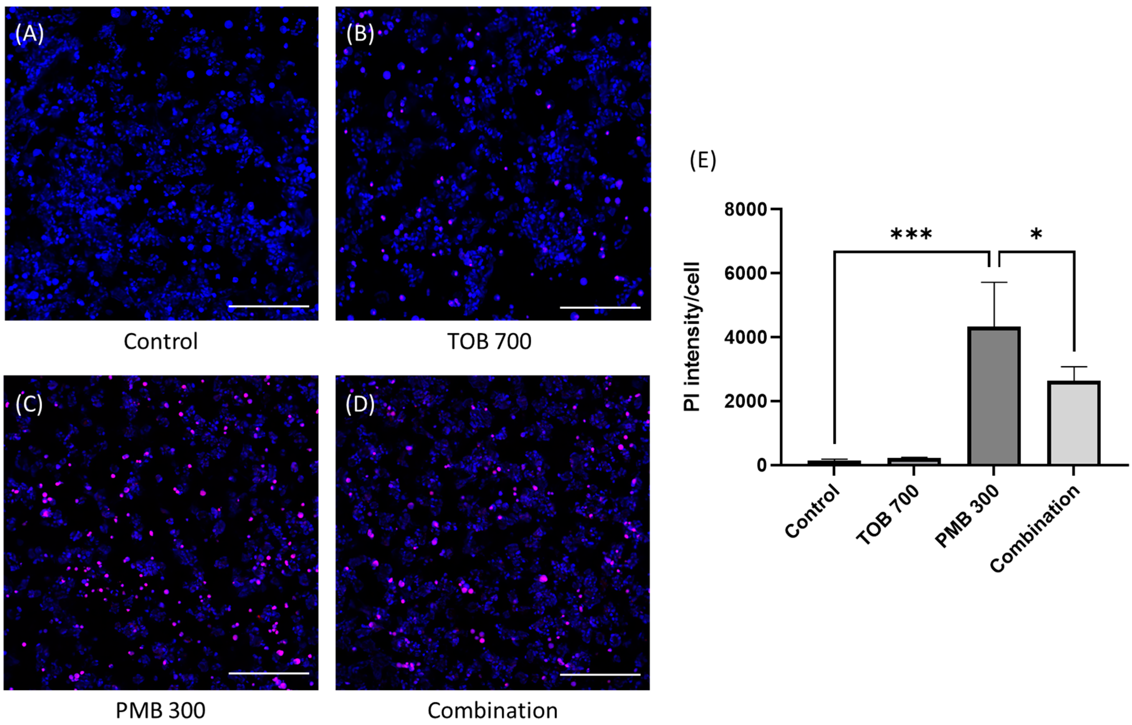 Pharmaceutics 16 00389 g002