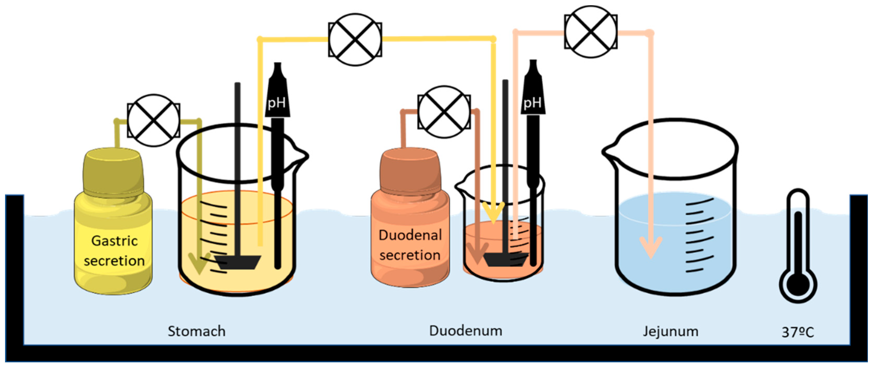 Pharmaceutics 16 00390 g001