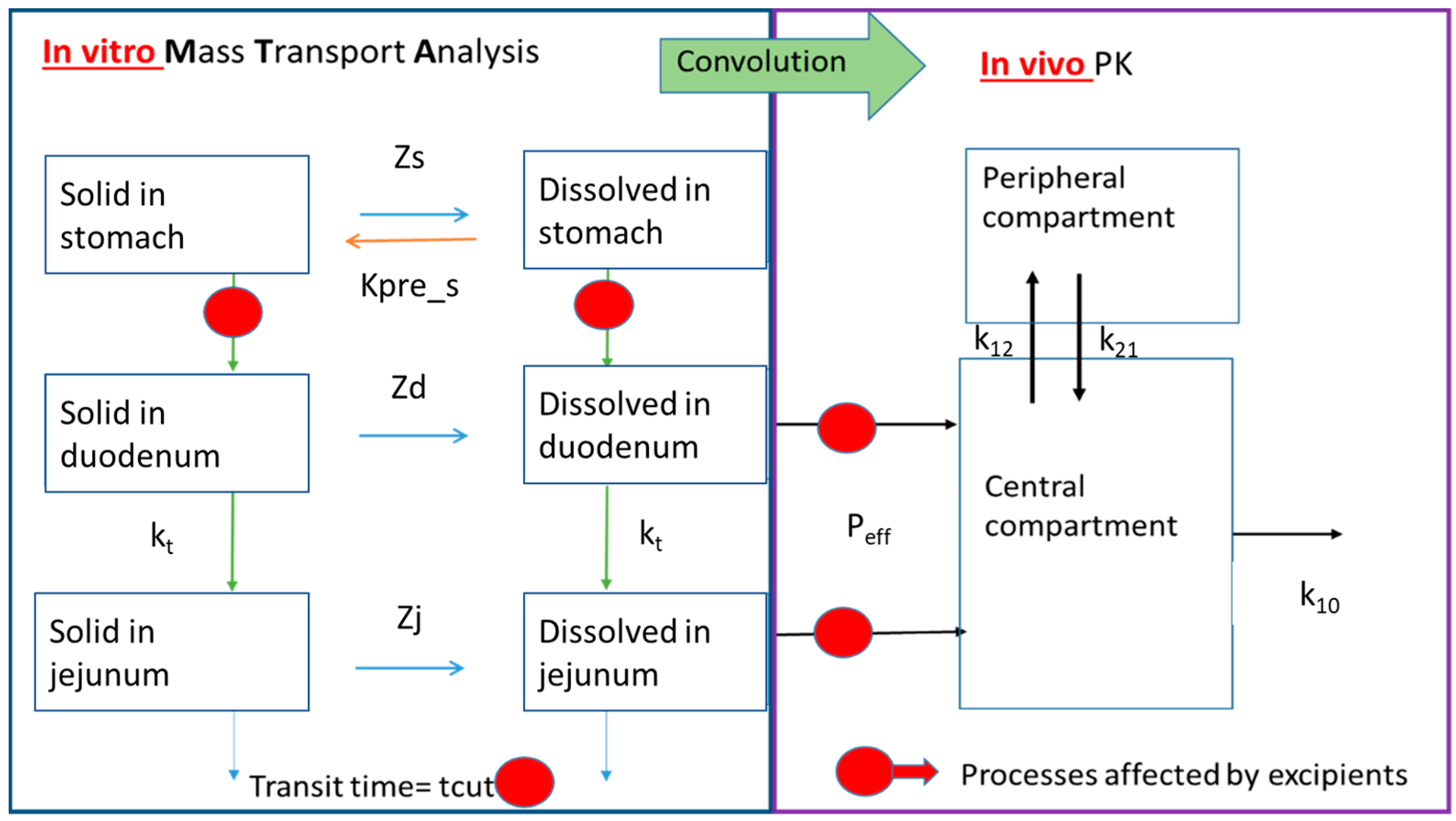 Pharmaceutics 16 00390 g002