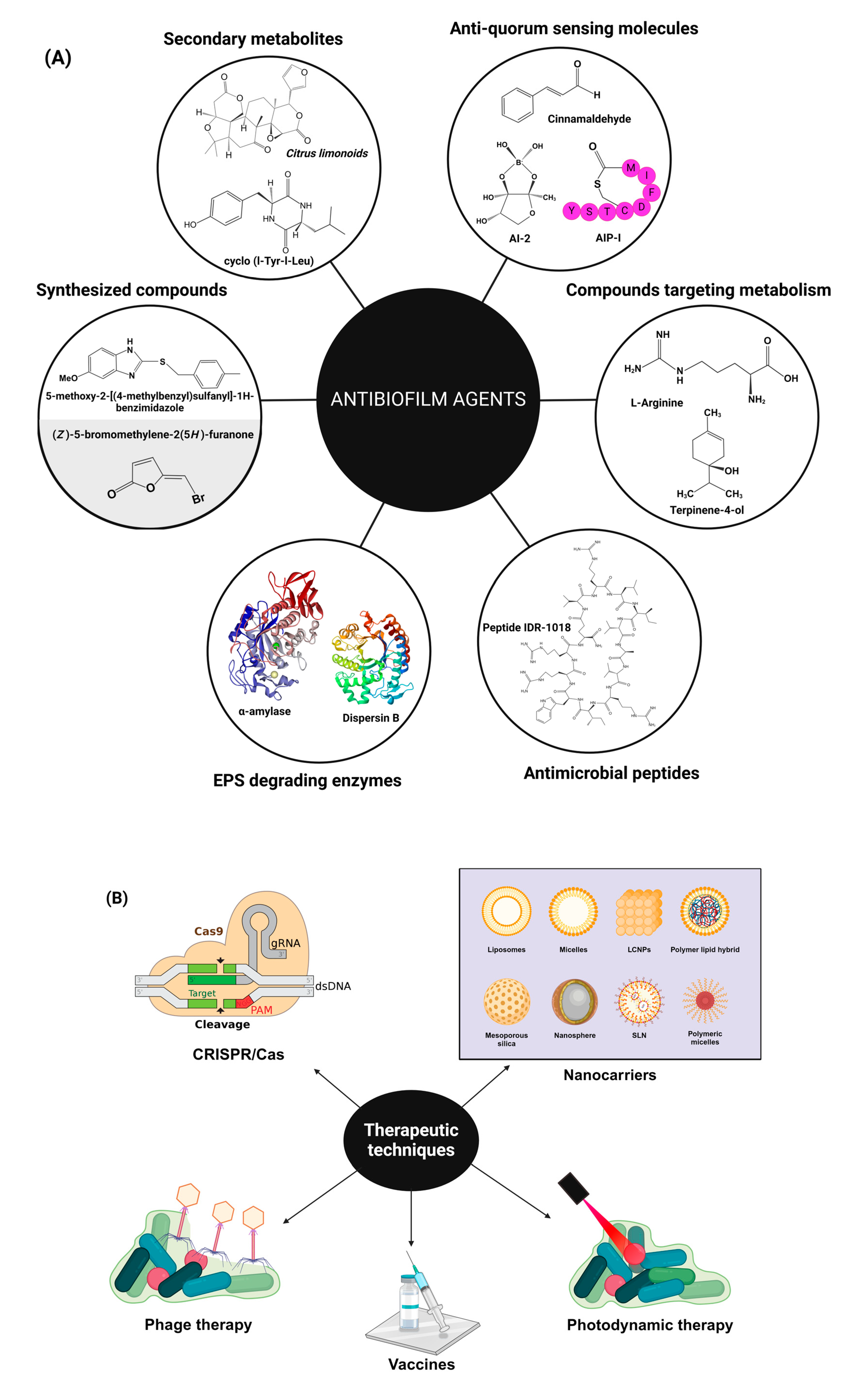 Pharmaceutics 16 00396 g003