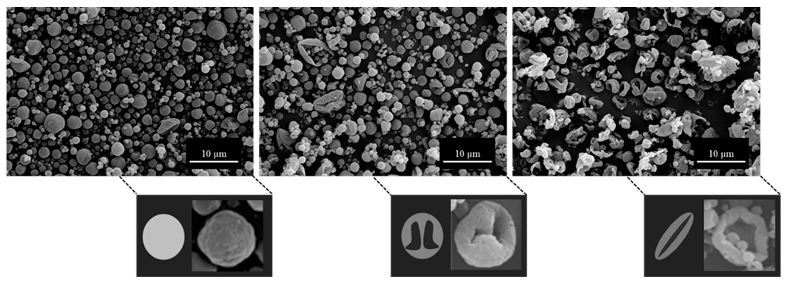Pharmaceutics 16 00398 g014