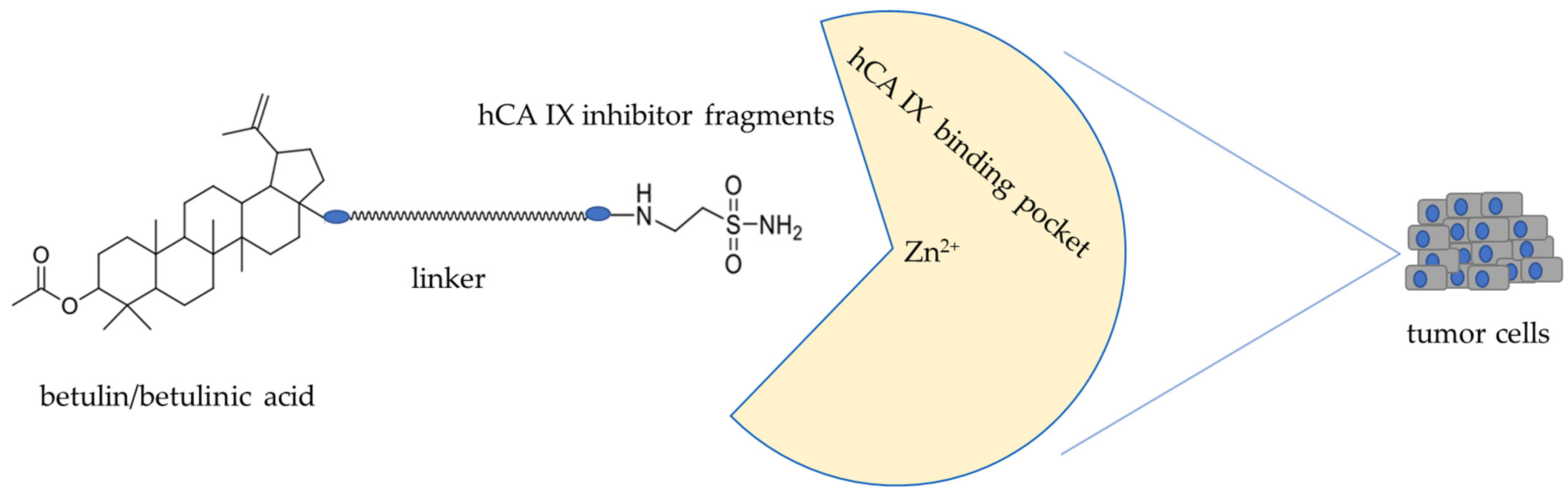 Pharmaceutics 16 00401 g002