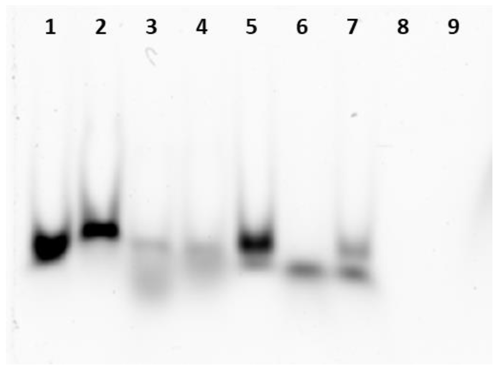 Pharmaceutics 16 00402 g001