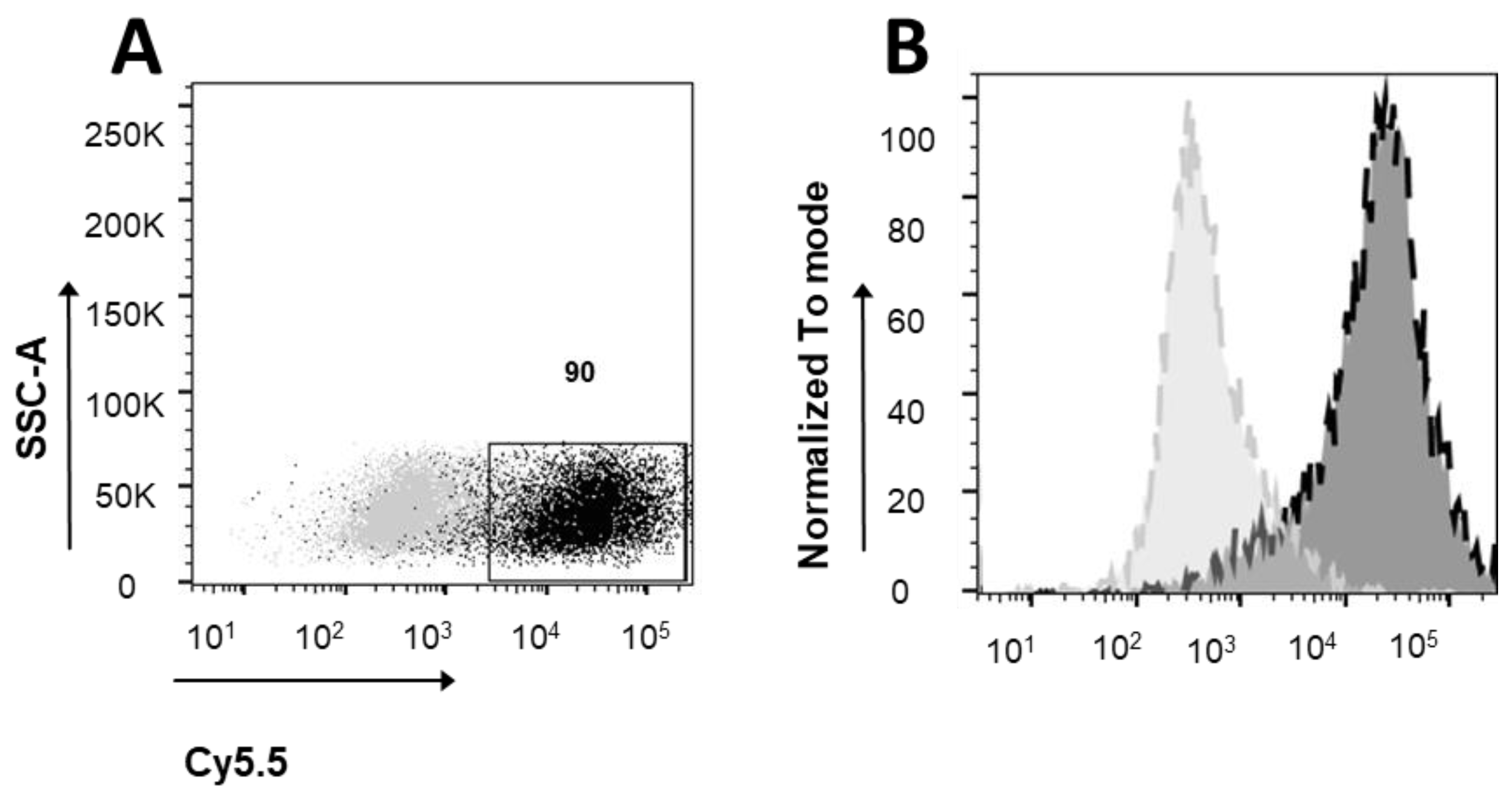 Pharmaceutics 16 00402 g002