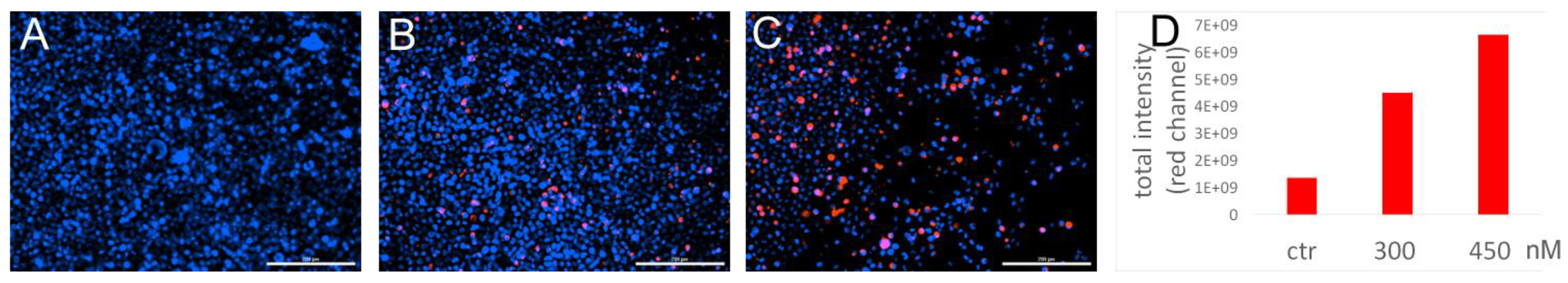 Pharmaceutics 16 00402 g003