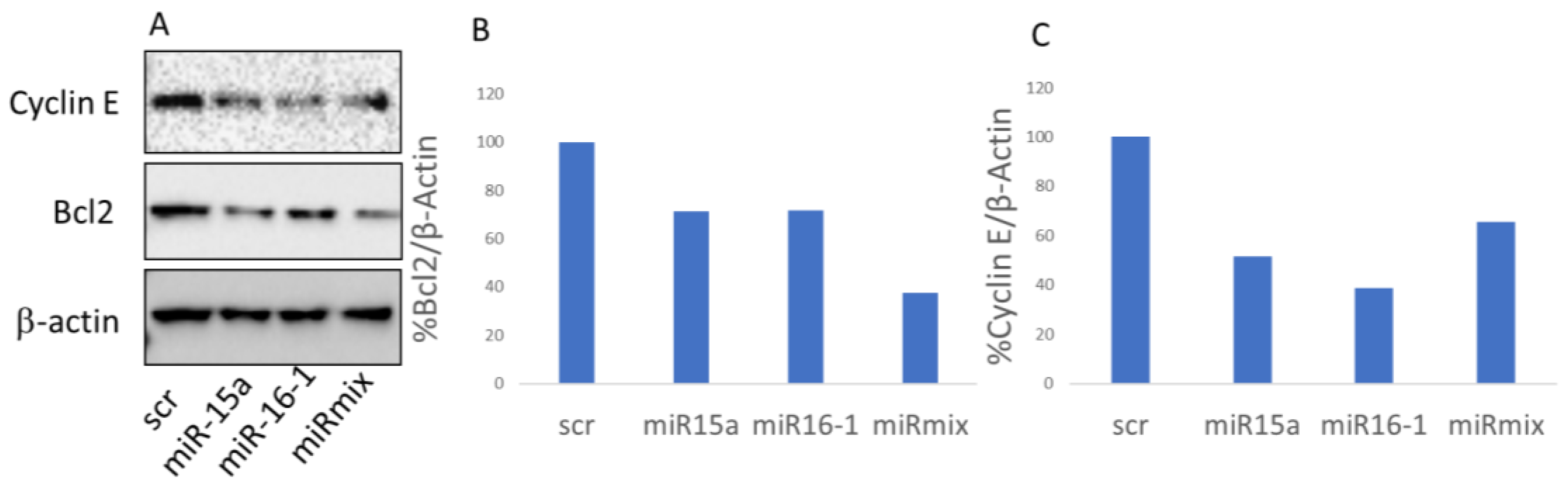 Pharmaceutics 16 00402 g006