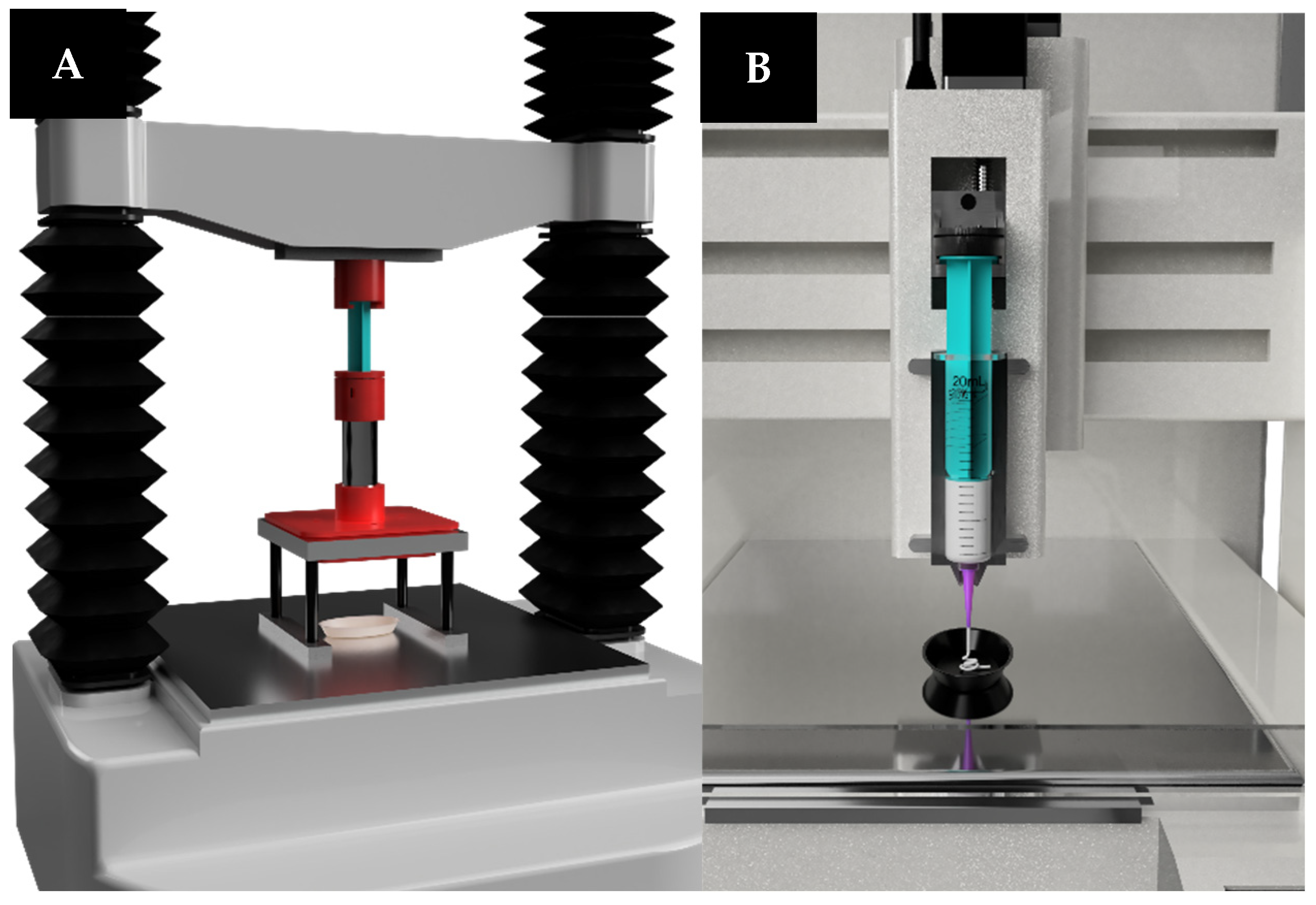 Pharmaceutics 16 00408 g001