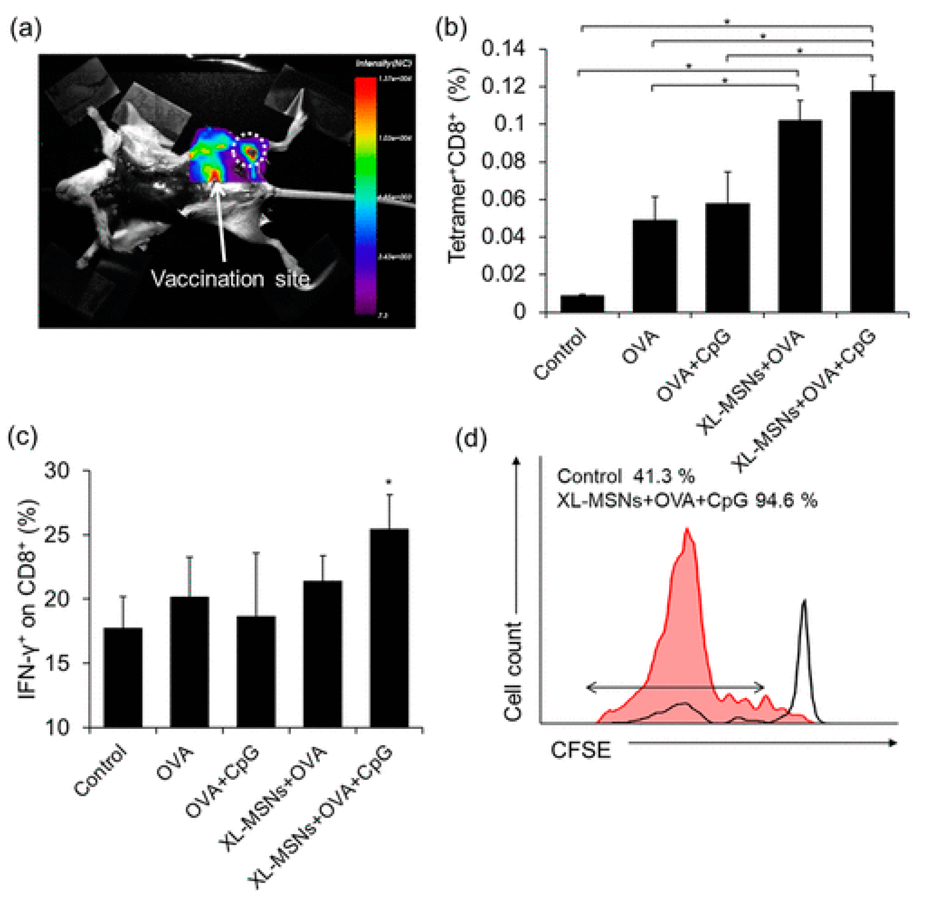 Pharmaceutics 16 00410 g004