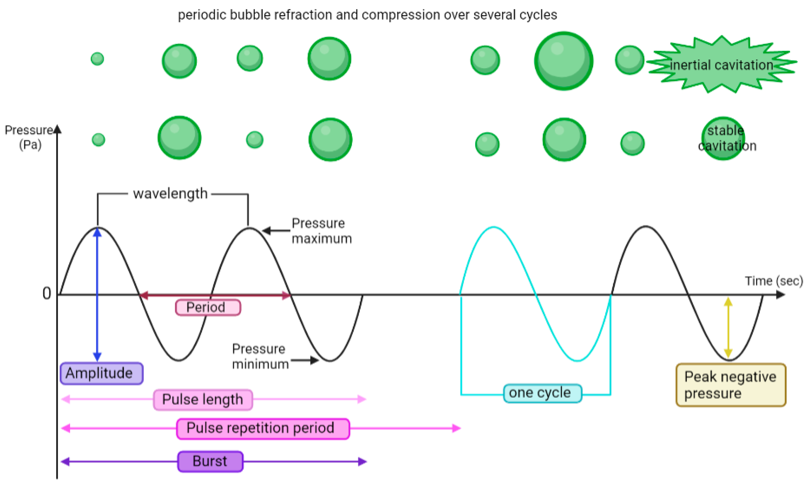 Pharmaceutics 16 00411 g003