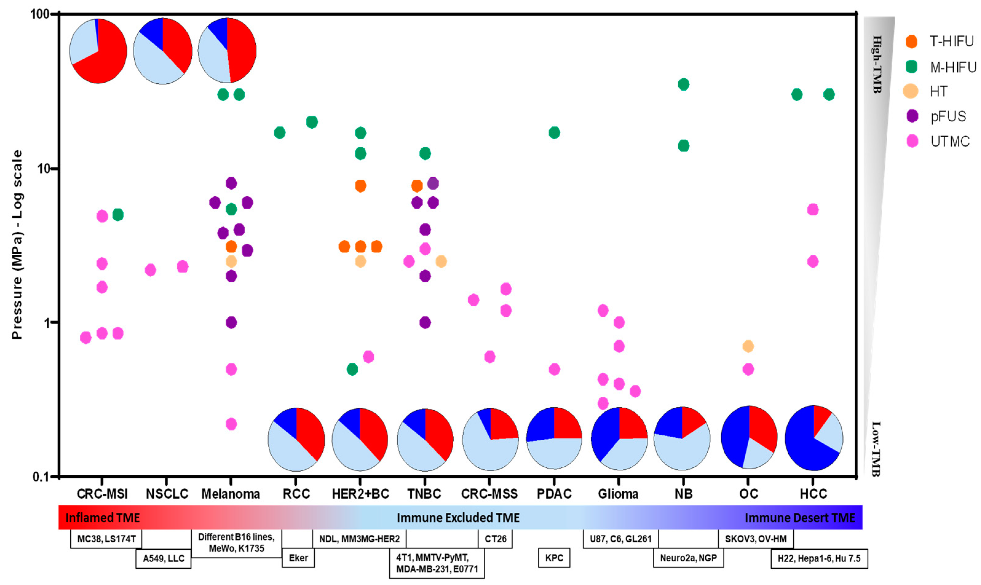 Pharmaceutics 16 00411 g004