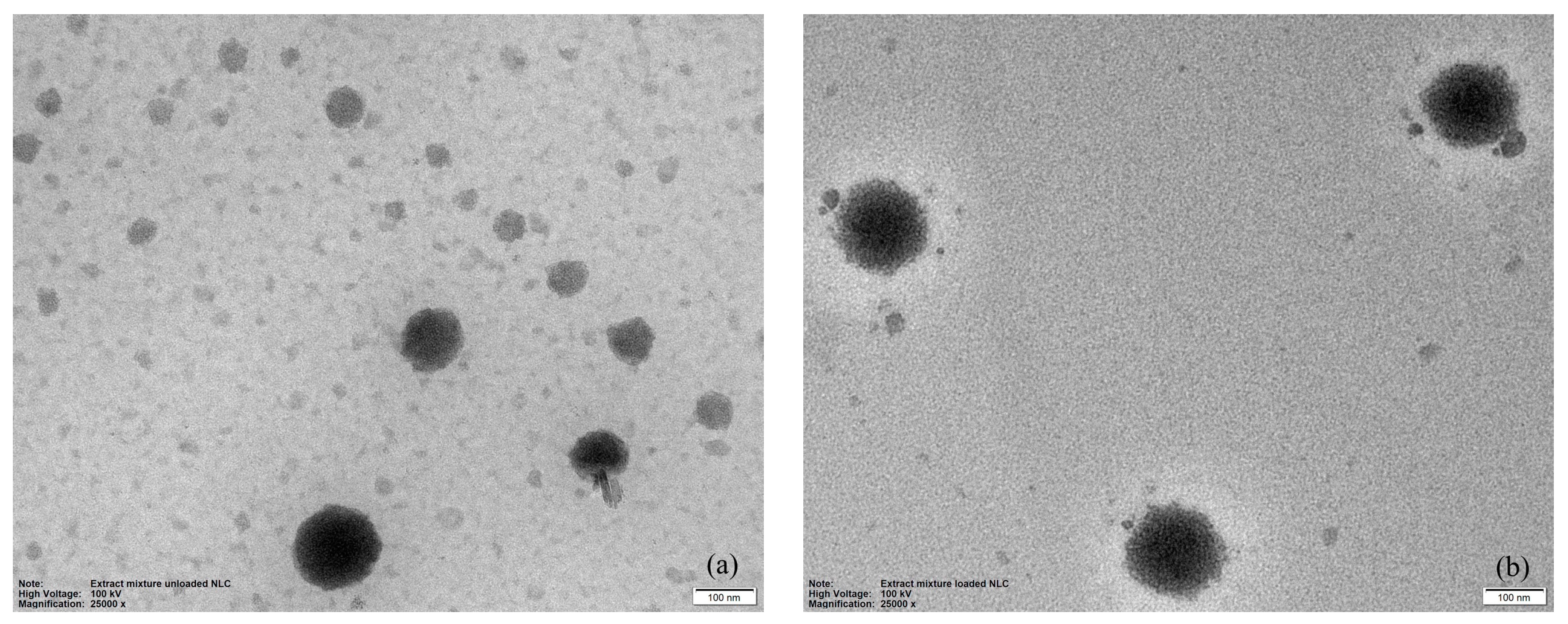 Pharmaceutics 16 00412 g003