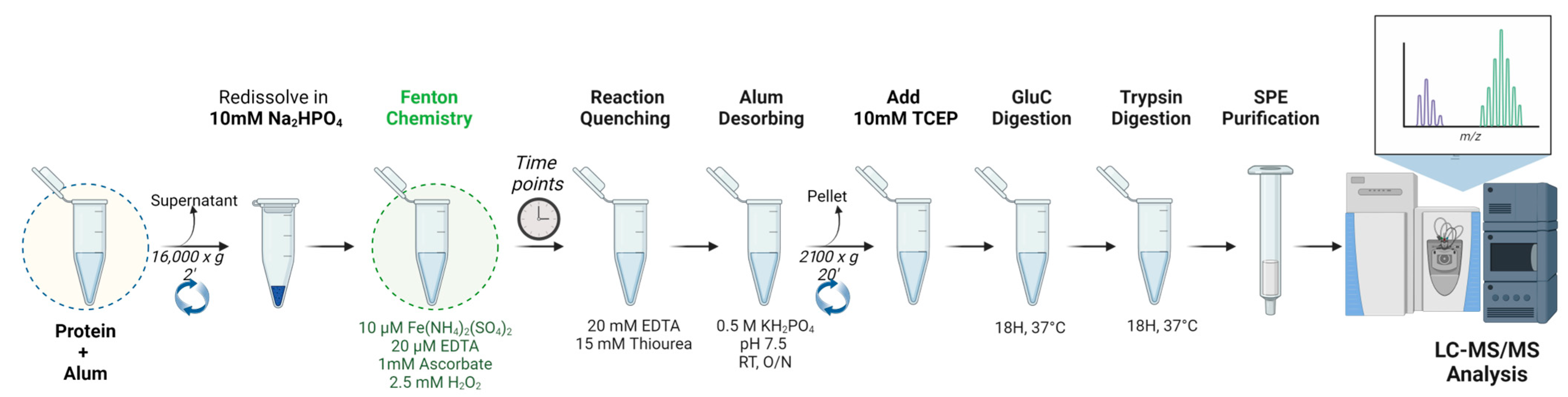 Pharmaceutics 16 00420 g002