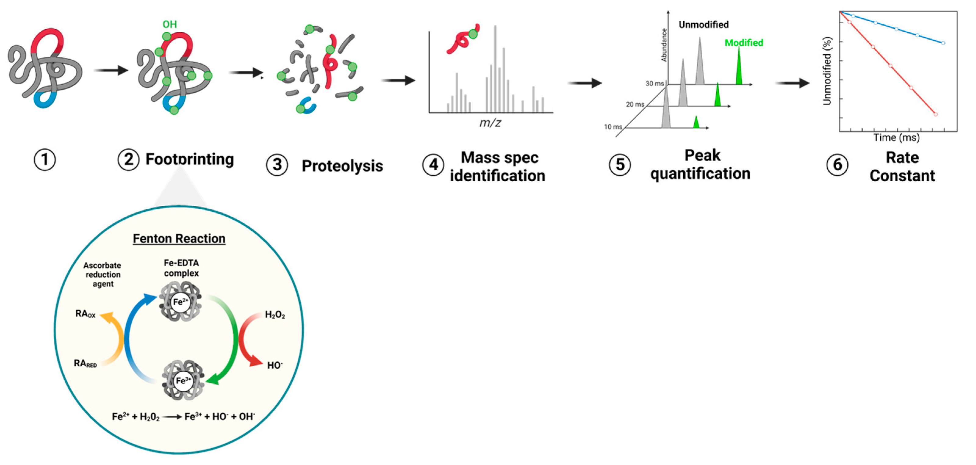 Pharmaceutics 16 00420 g008
