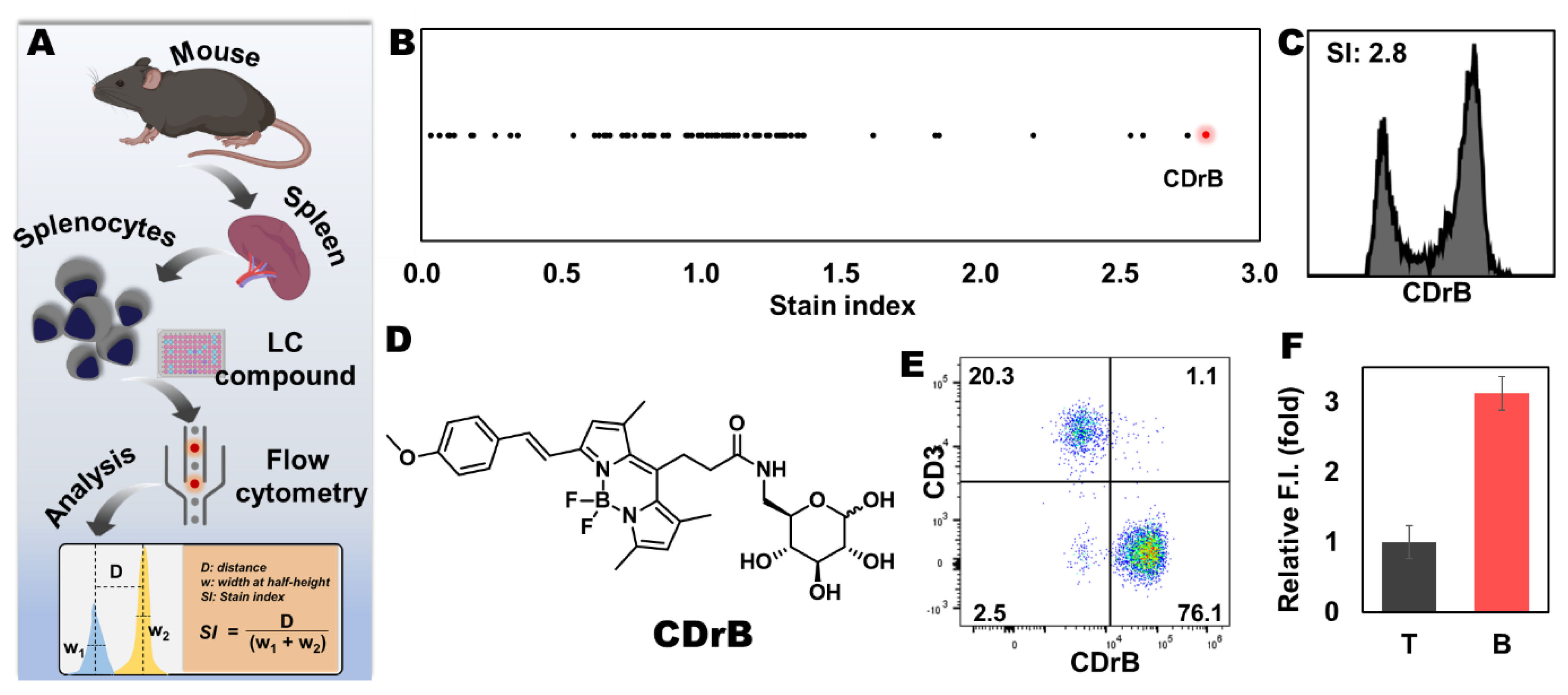 Pharmaceutics 16 00424 g002