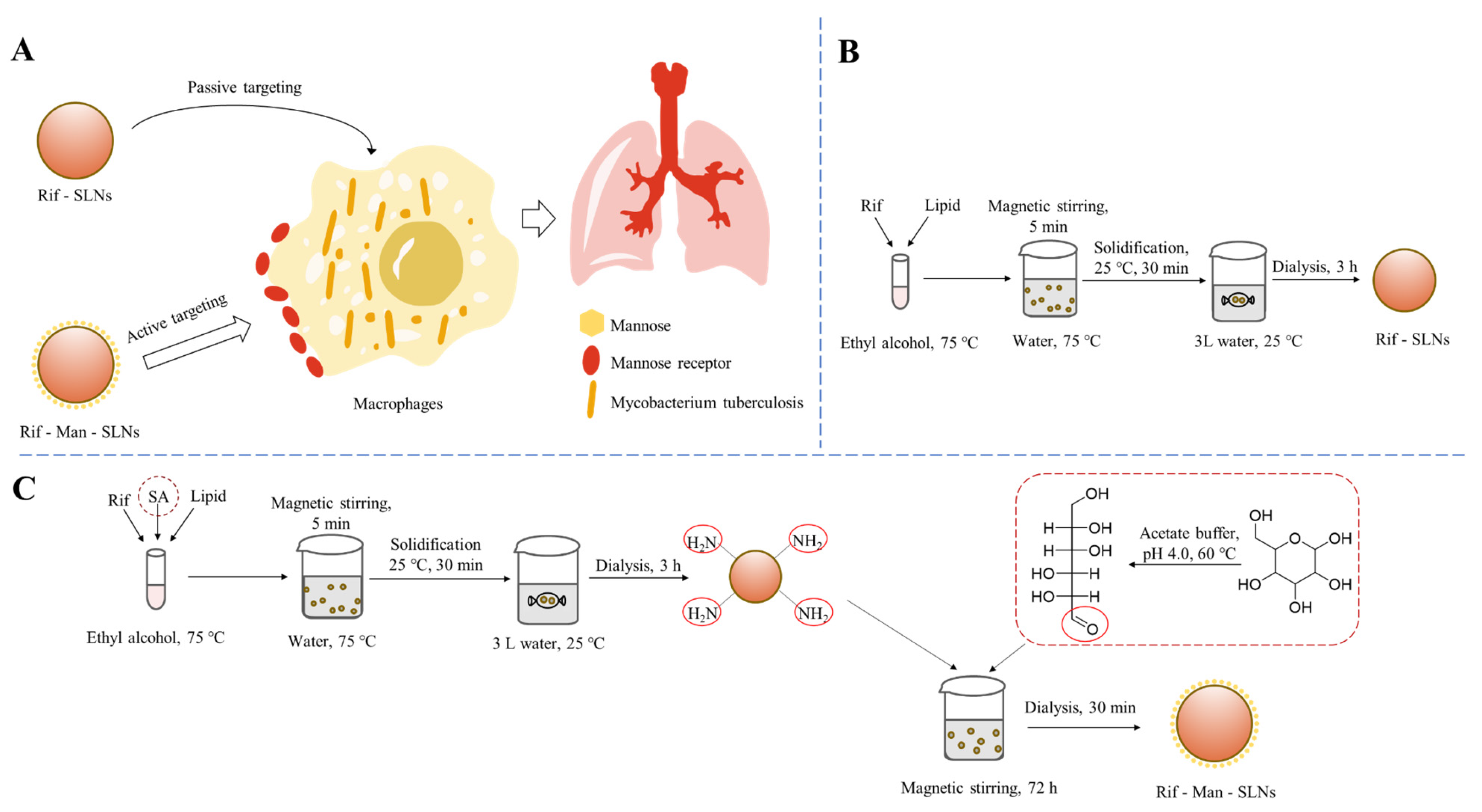 Pharmaceutics 16 00429 g001