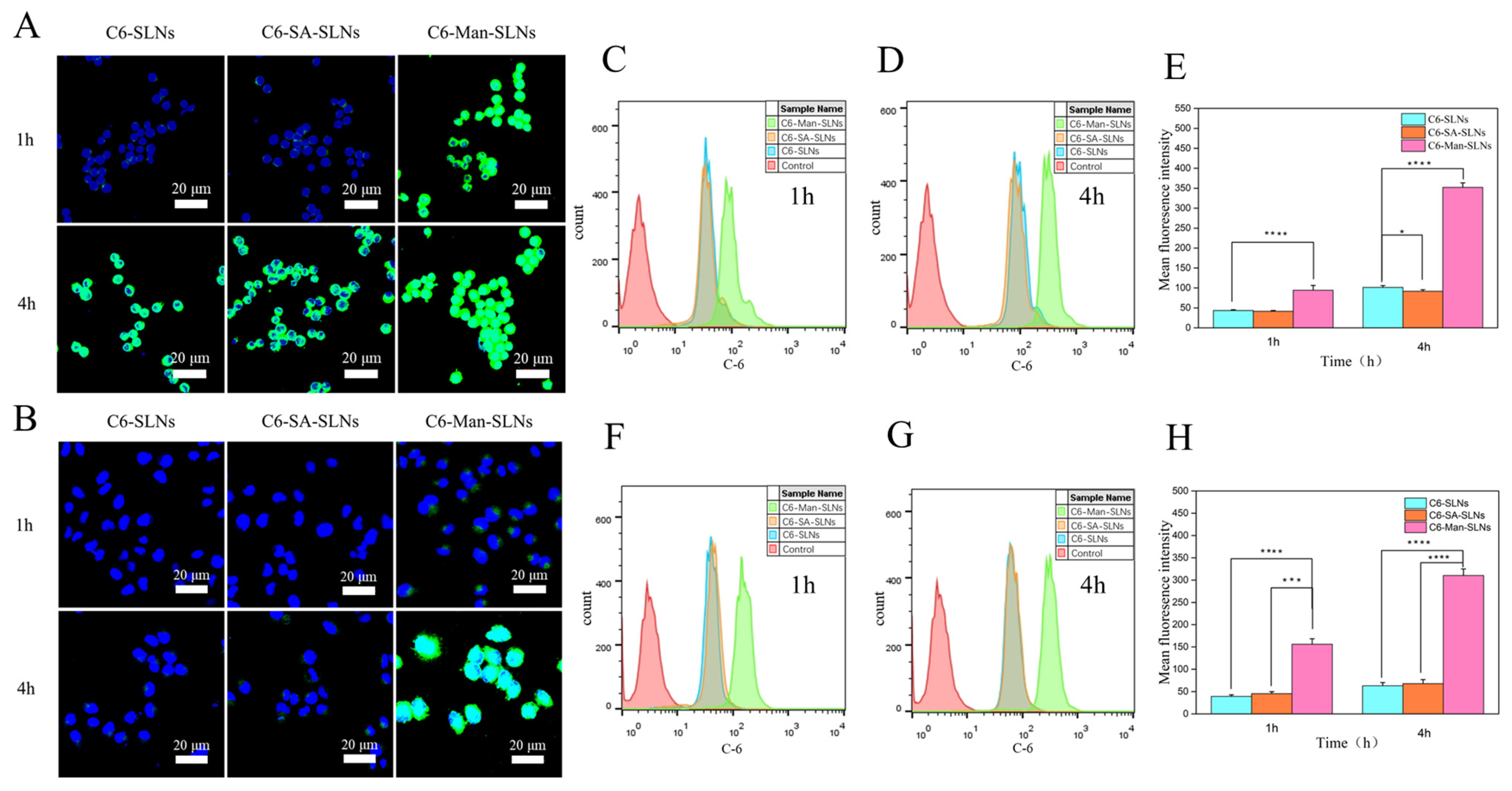 Pharmaceutics 16 00429 g005