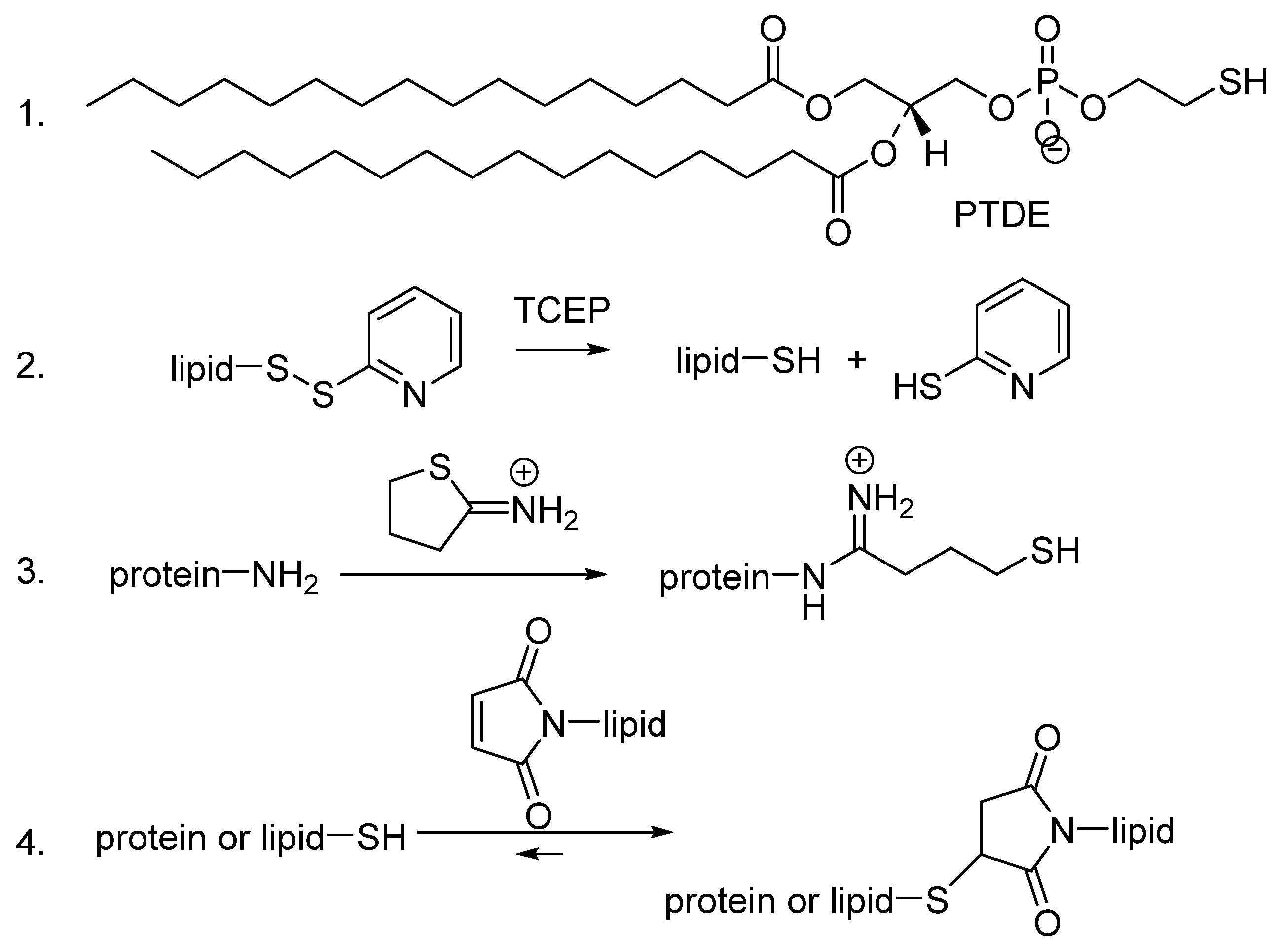Pharmaceutics 16 00434 g001