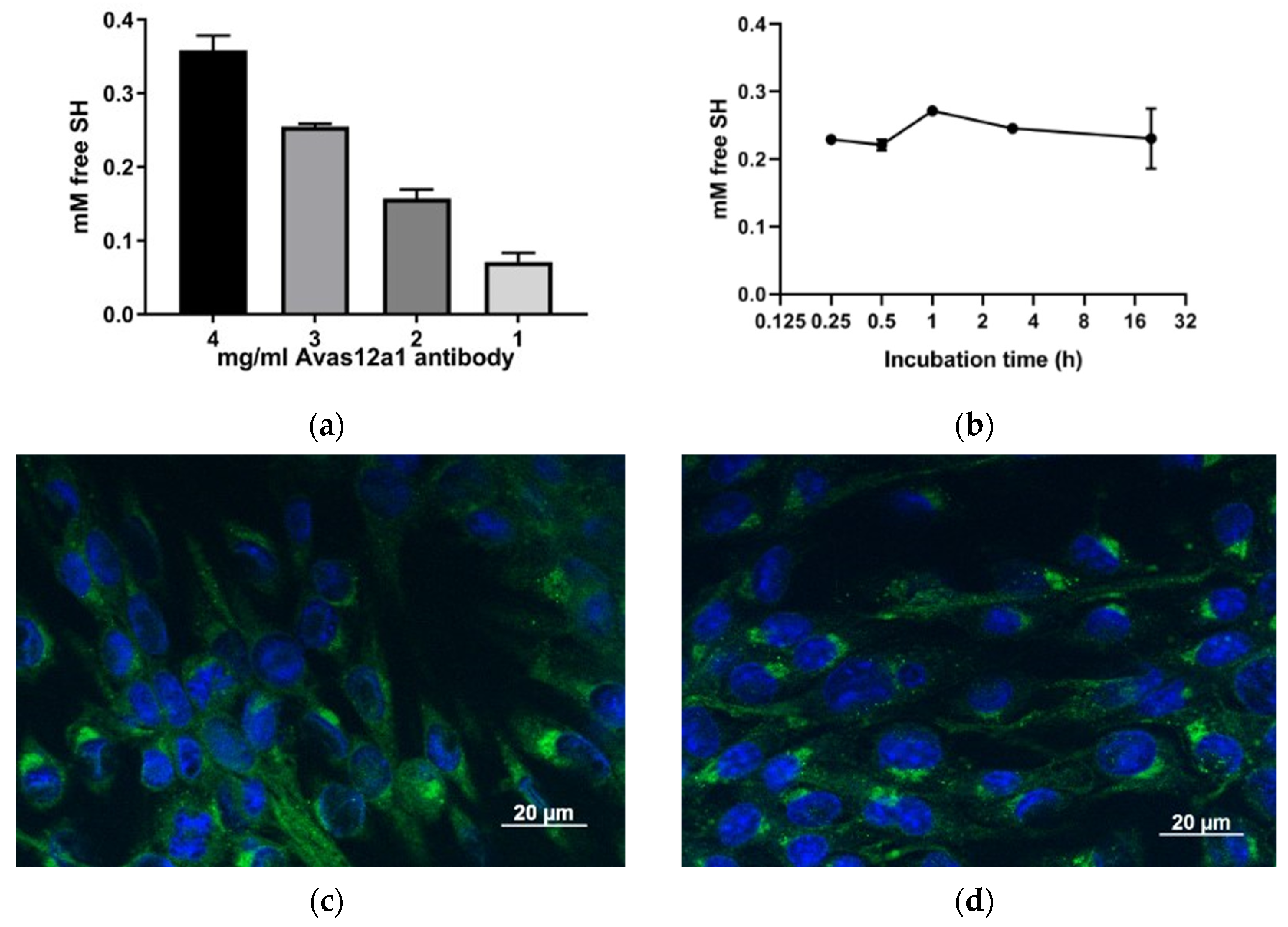 Pharmaceutics 16 00434 g003