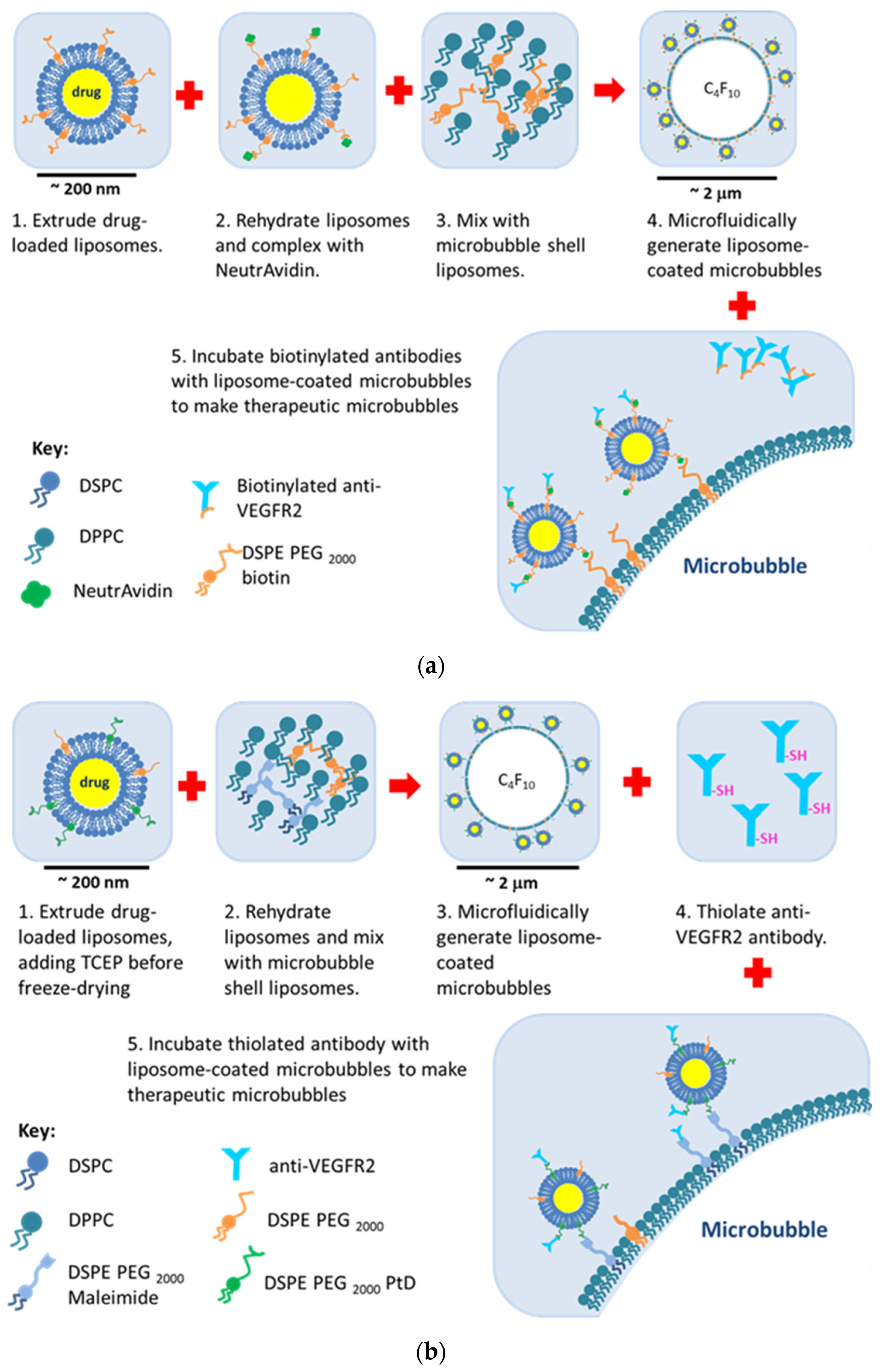 Pharmaceutics 16 00434 g004