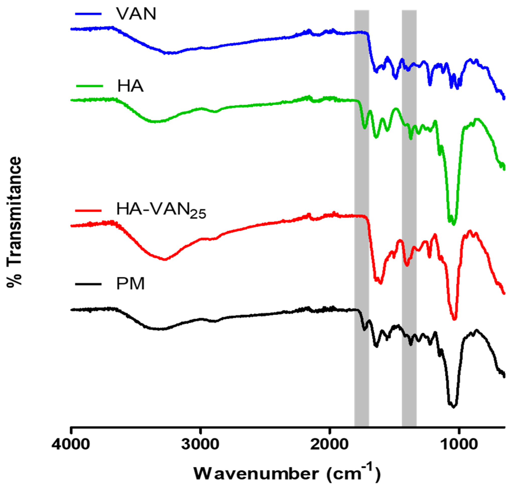 Pharmaceutics 16 00436 g001