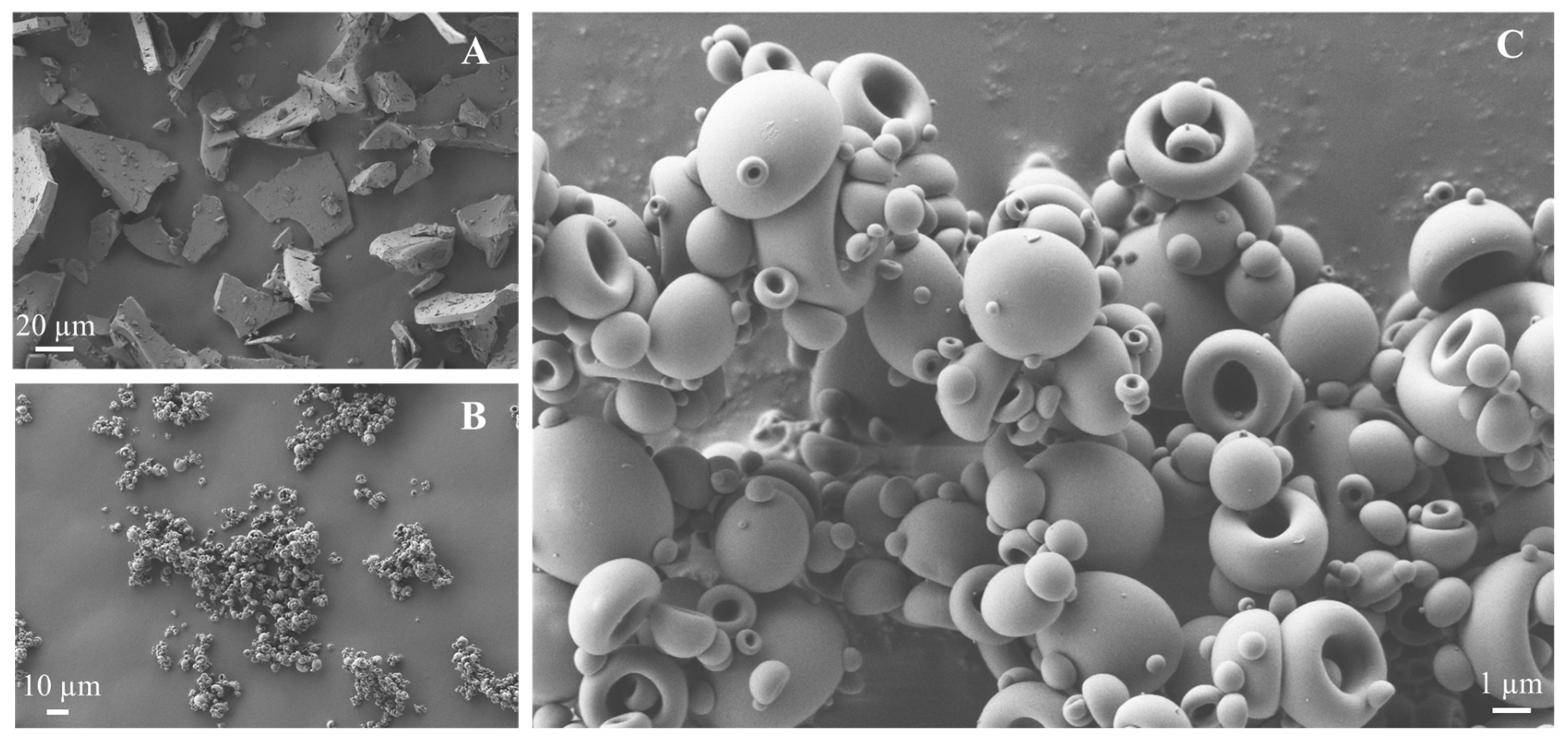 Pharmaceutics 16 00436 g004