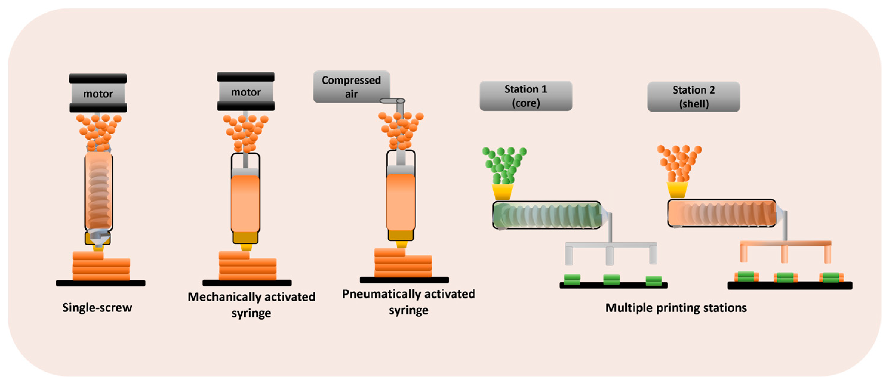 Pharmaceutics 16 00437 g002