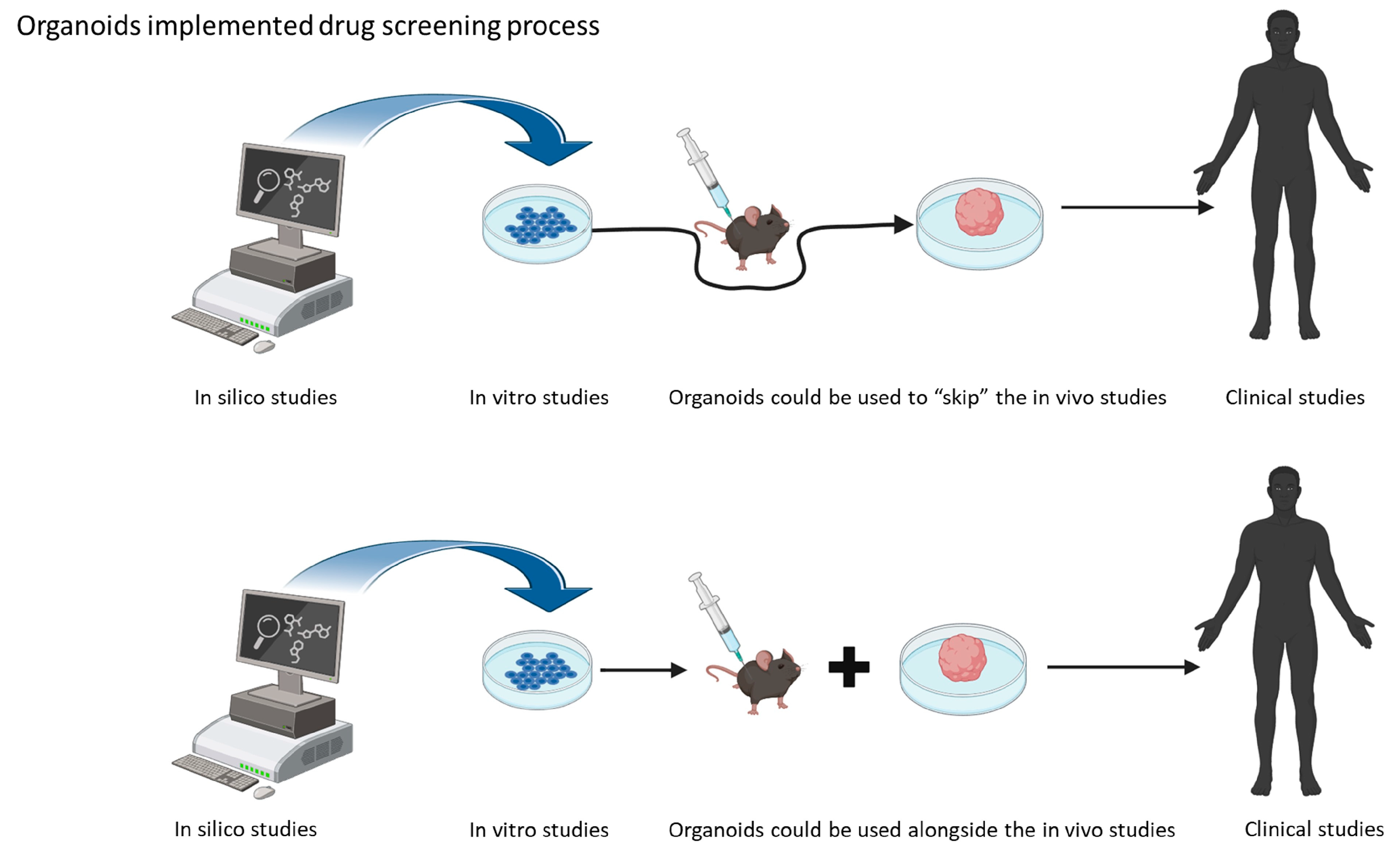 Brain Organoids: A Game-Changer for Drug Testing
