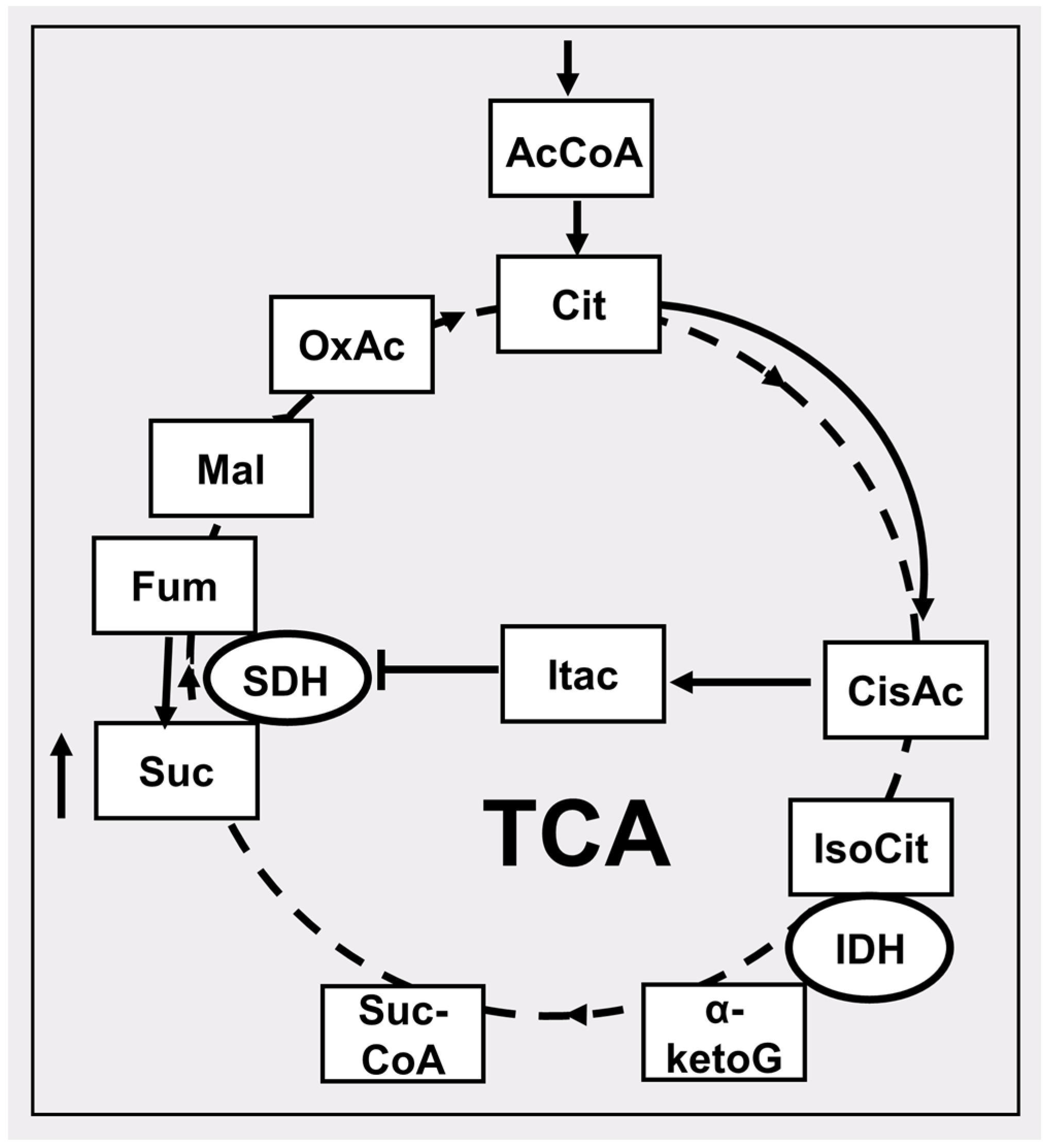 Pharmaceutics 16 00444 g002 Pharmaceutics 16 00444 g002