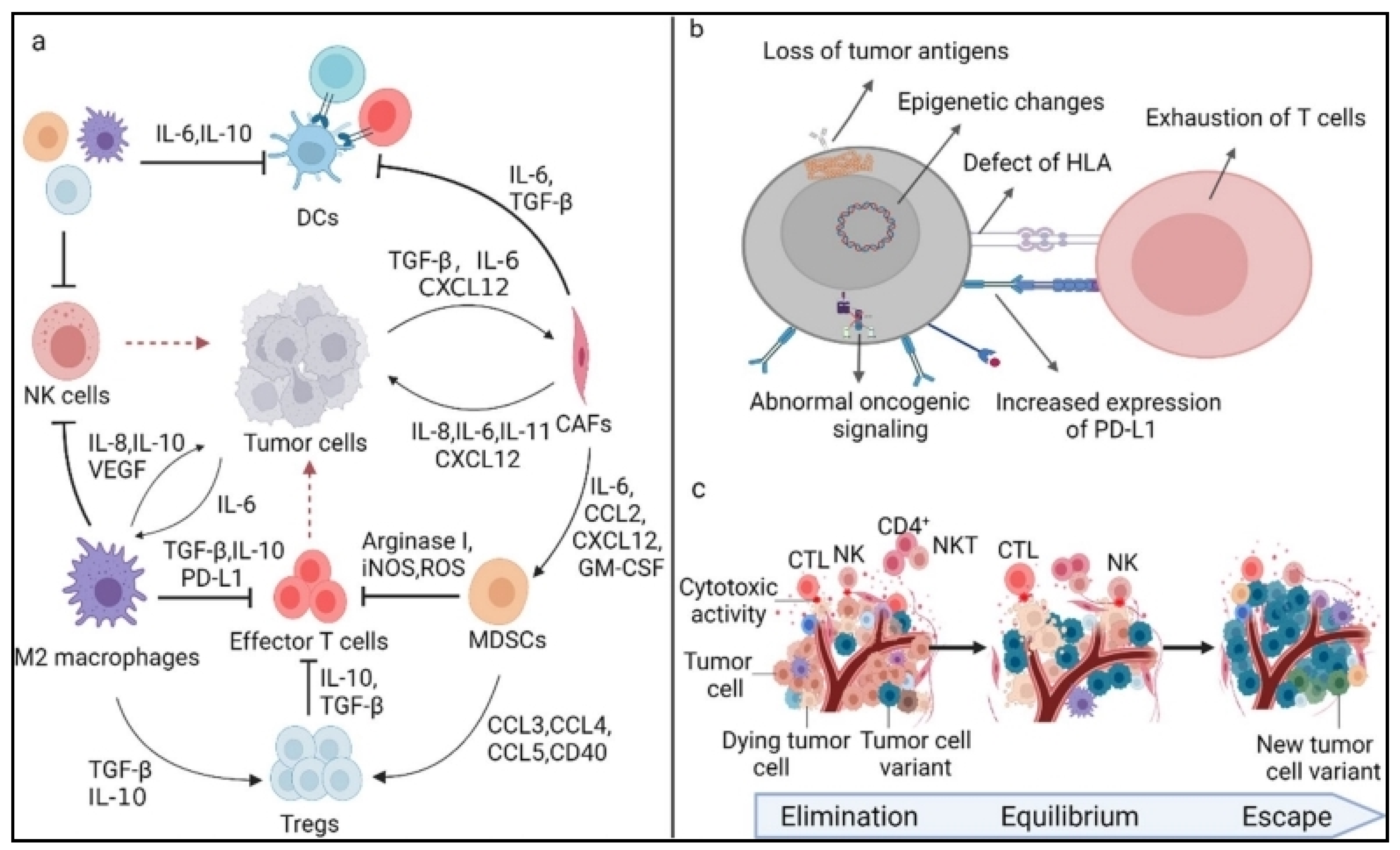 Pharmaceutics 16 00455 g005