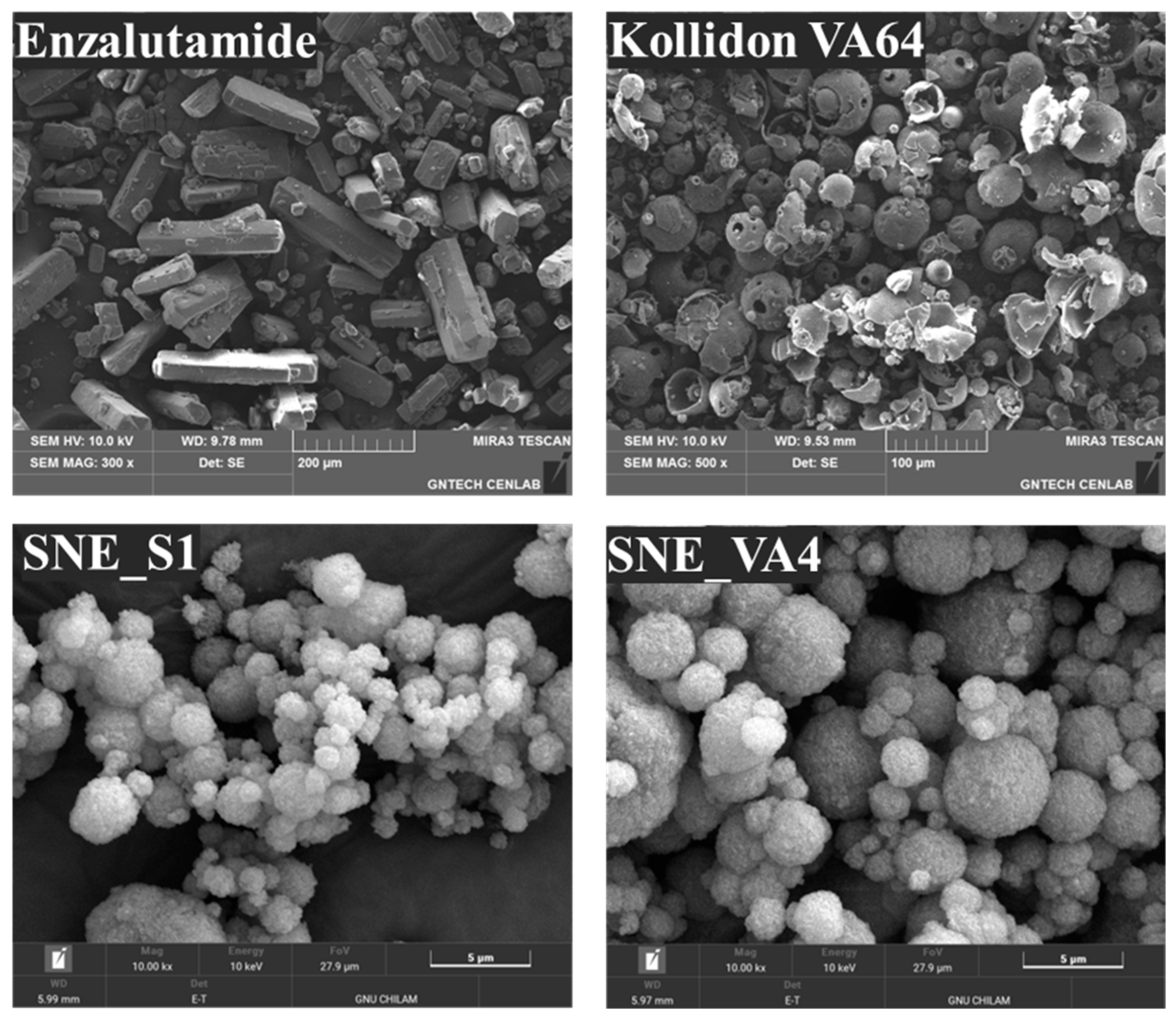 Pharmaceutics 16 00457 g007
