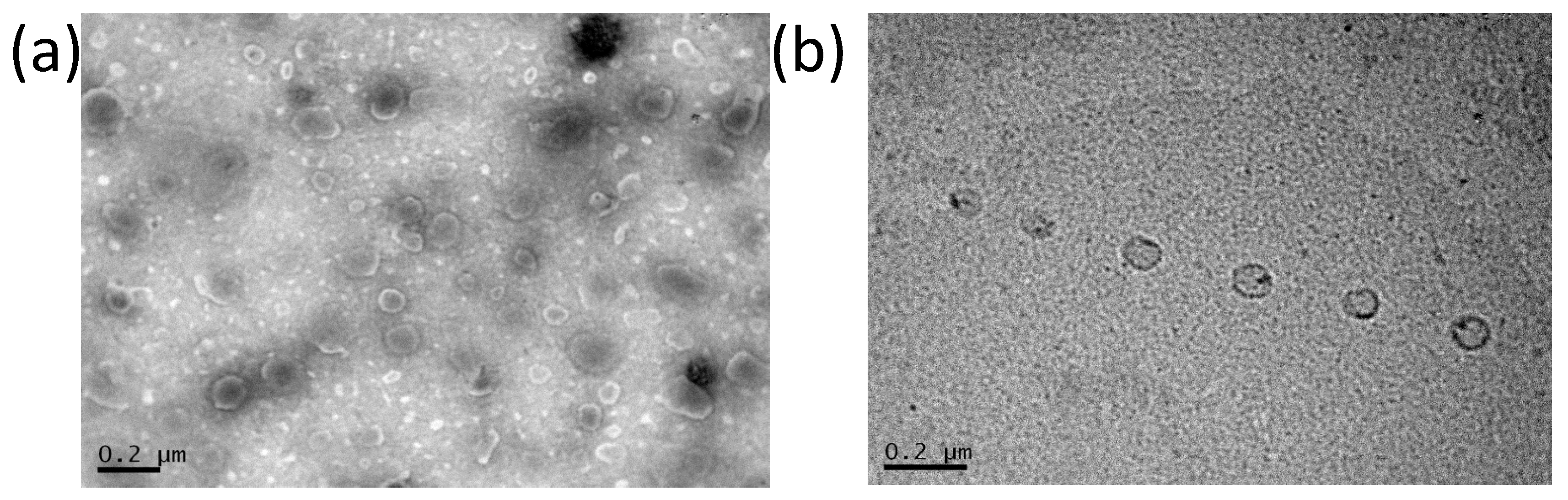 Pharmaceutics 16 00459 g004