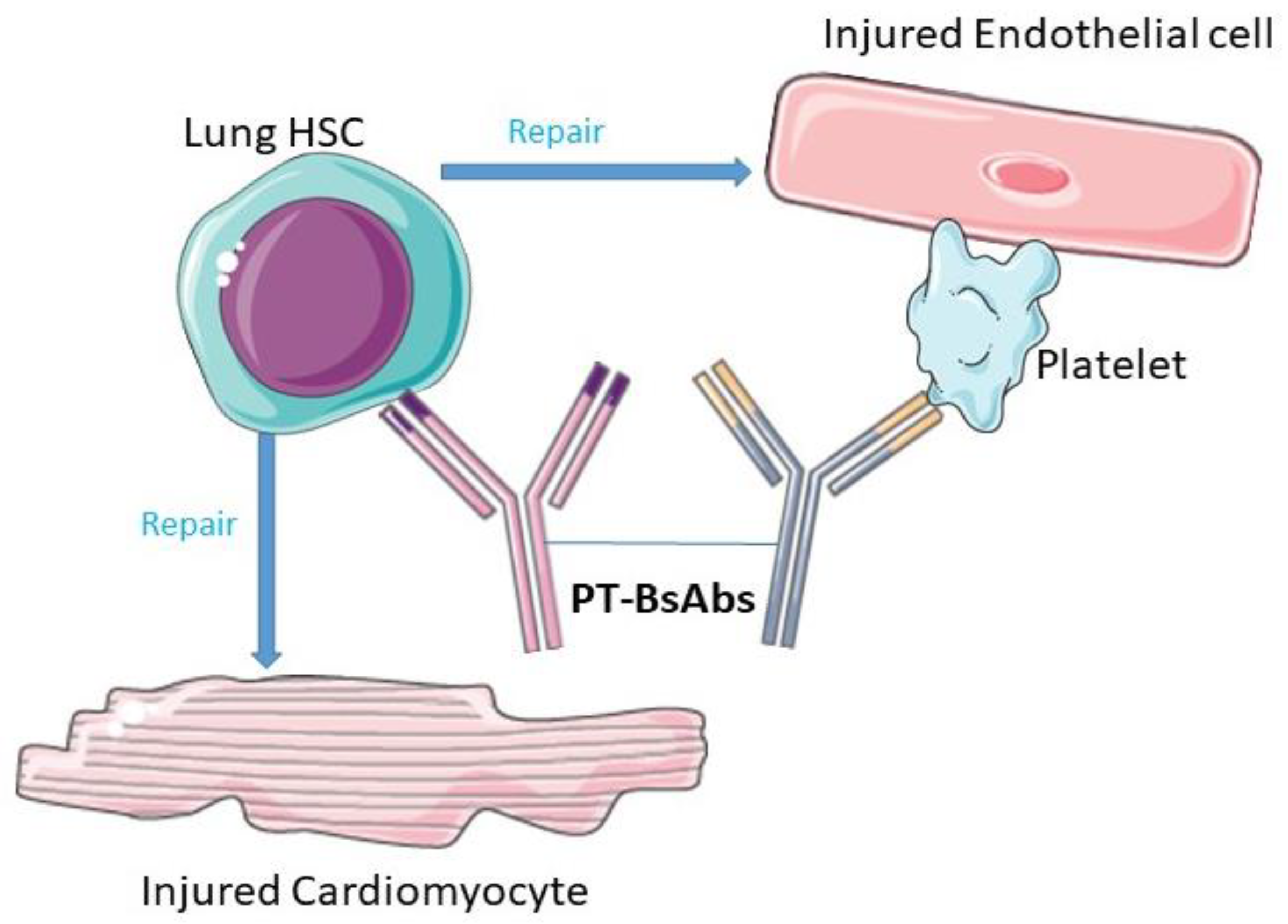 Pharmaceutics 16 00461 g001