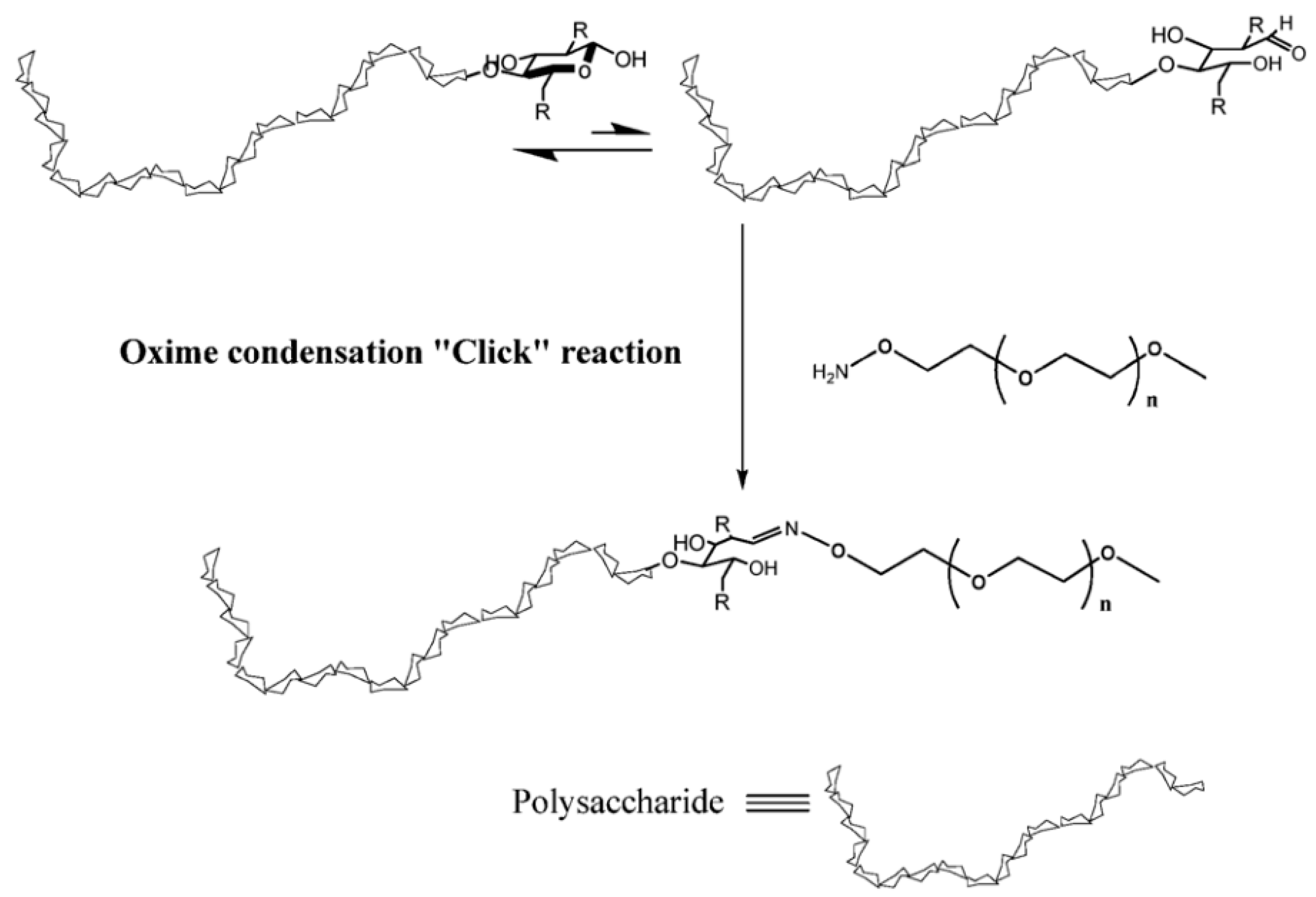 Pharmaceutics 16 00467 g005