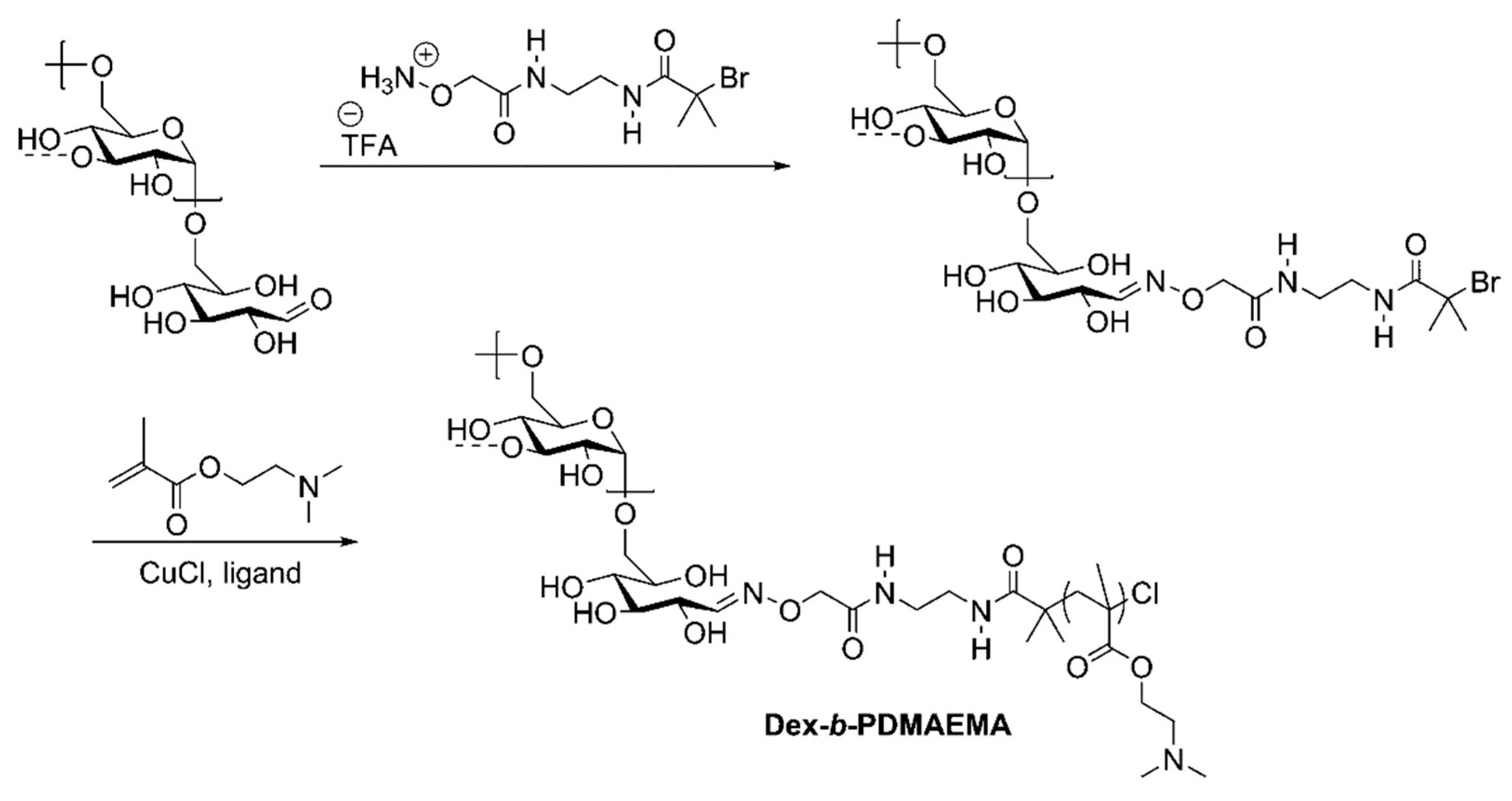 Pharmaceutics 16 00467 g006