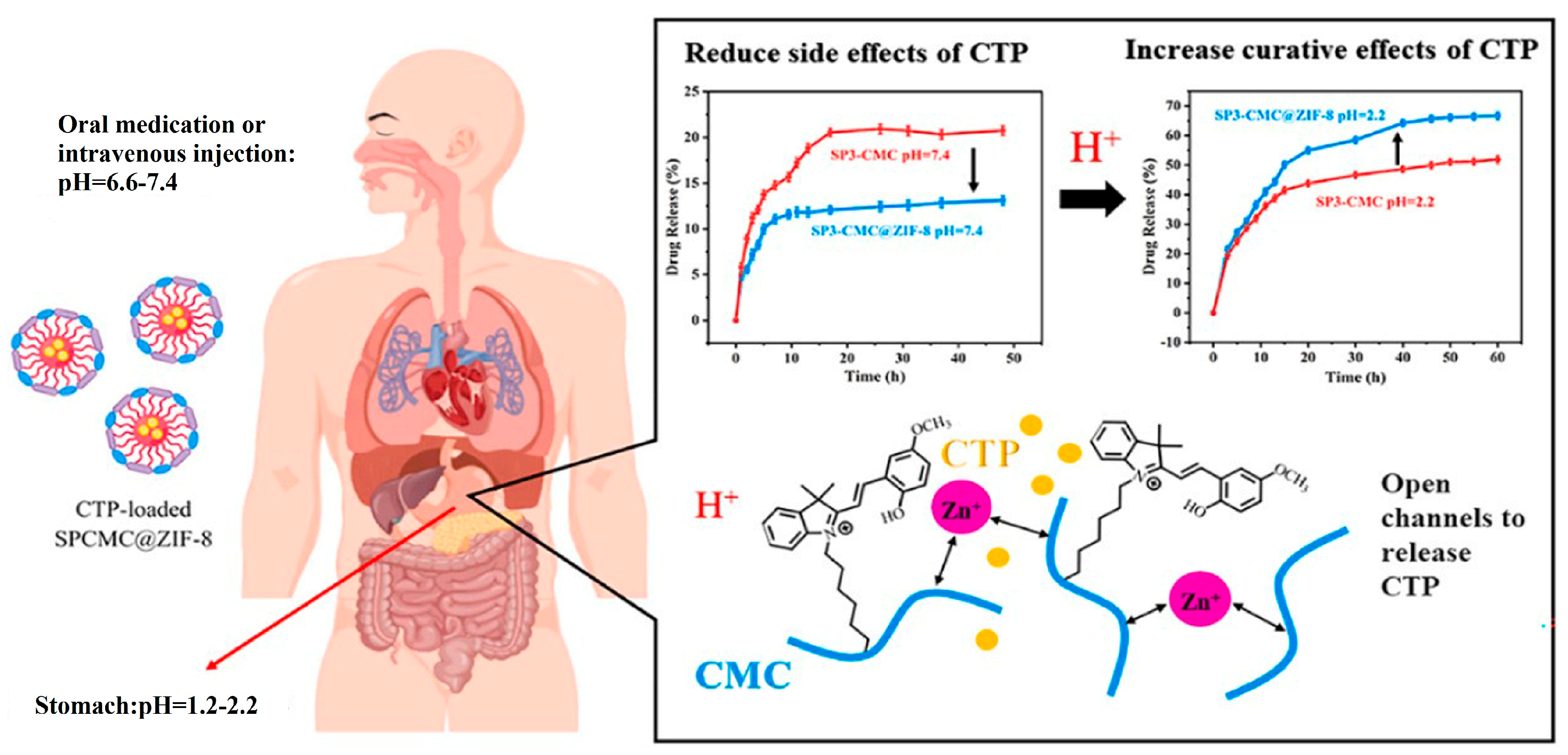 Pharmaceutics 16 00467 g009