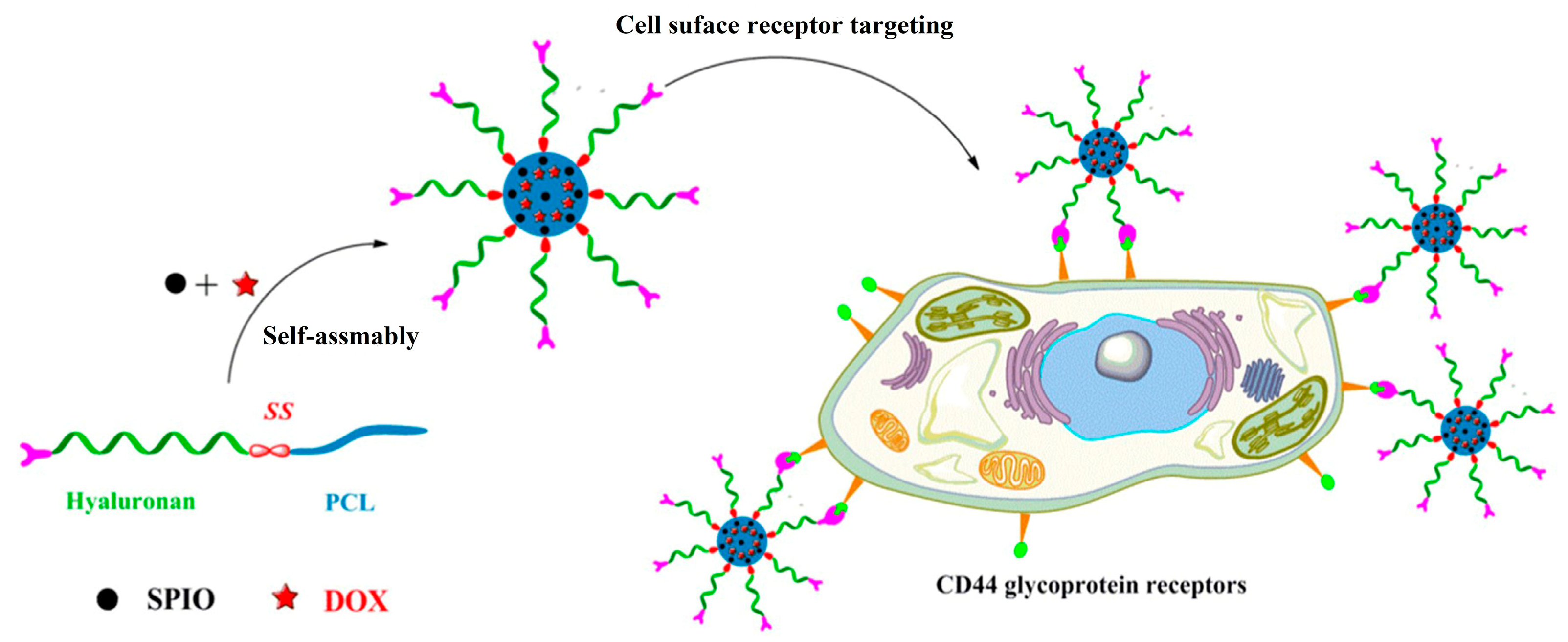 Pharmaceutics 16 00467 g010