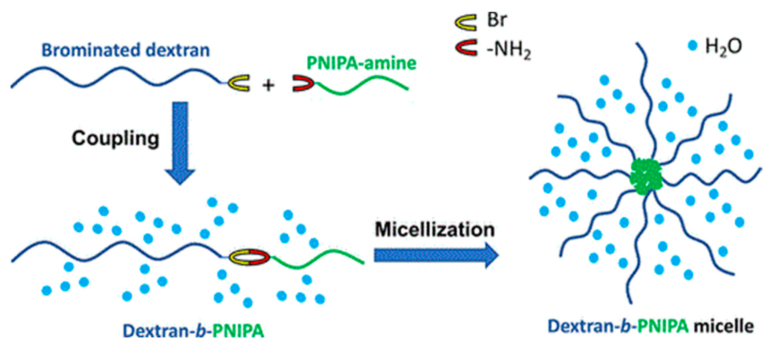 Pharmaceutics 16 00467 g011