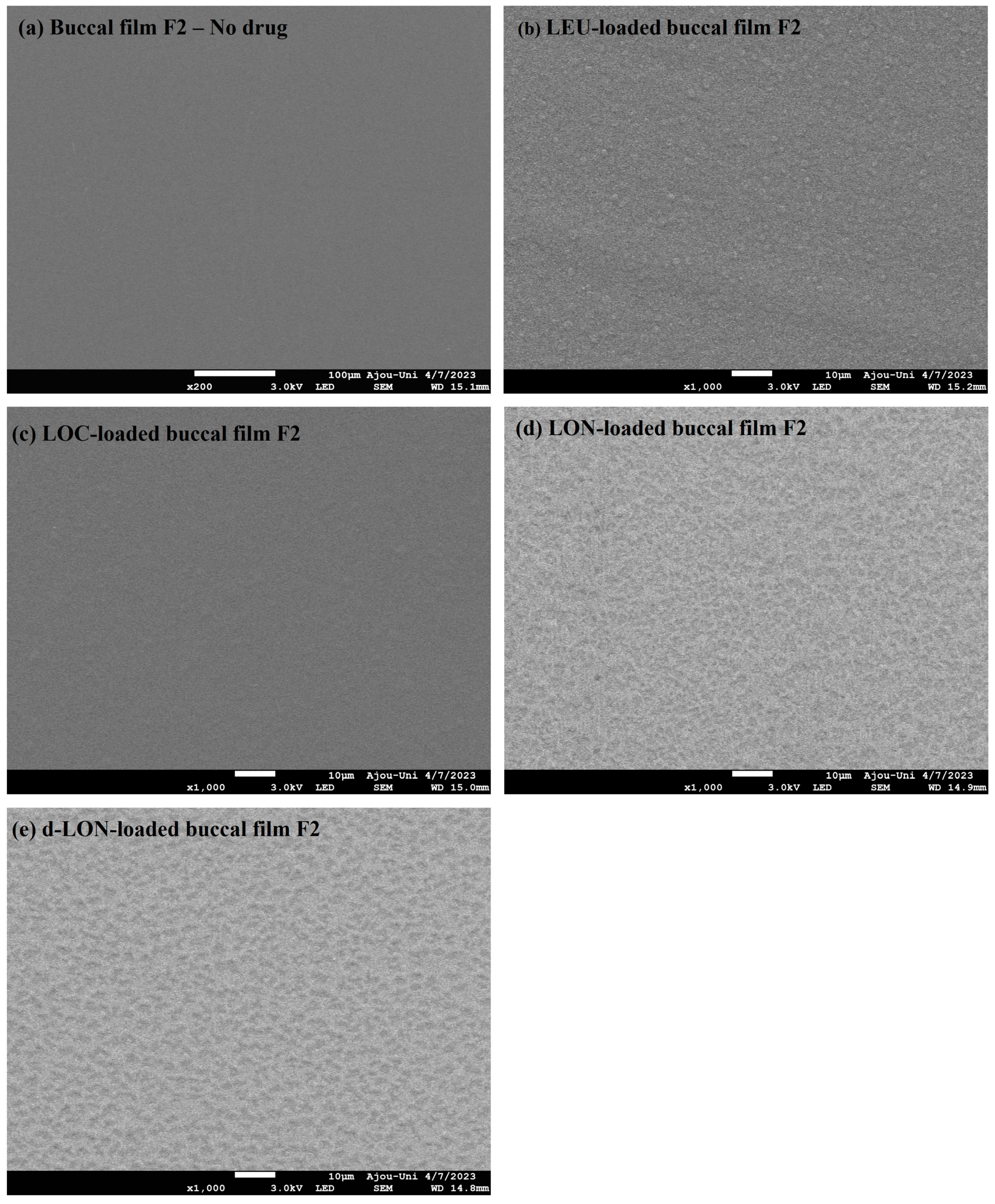 Pharmaceutics 16 00468 g005