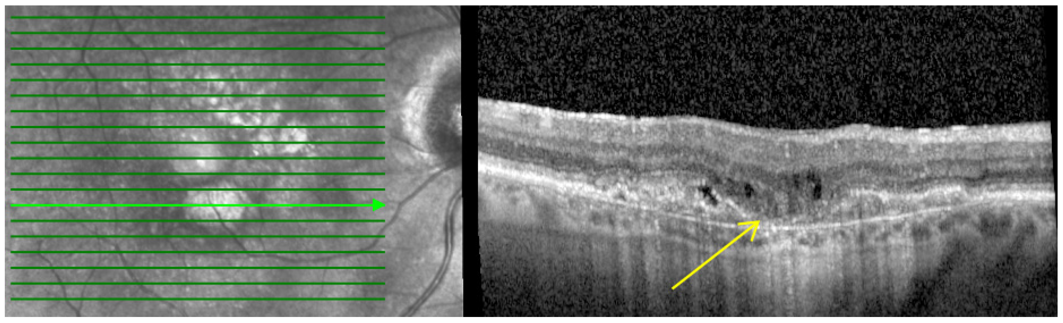 Pharmaceutics 16 00470 g001