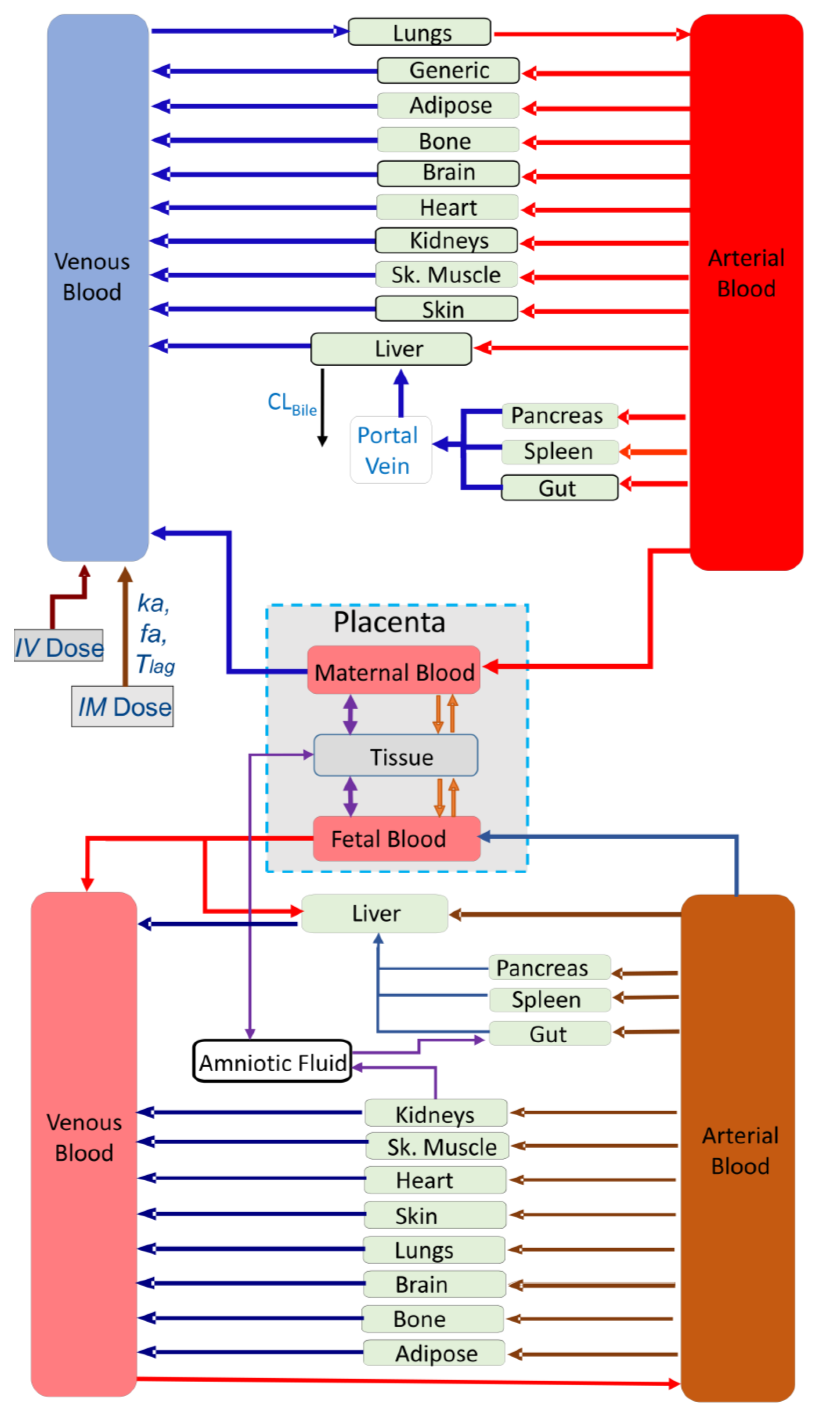 Pharmaceutics 16 00474 g001