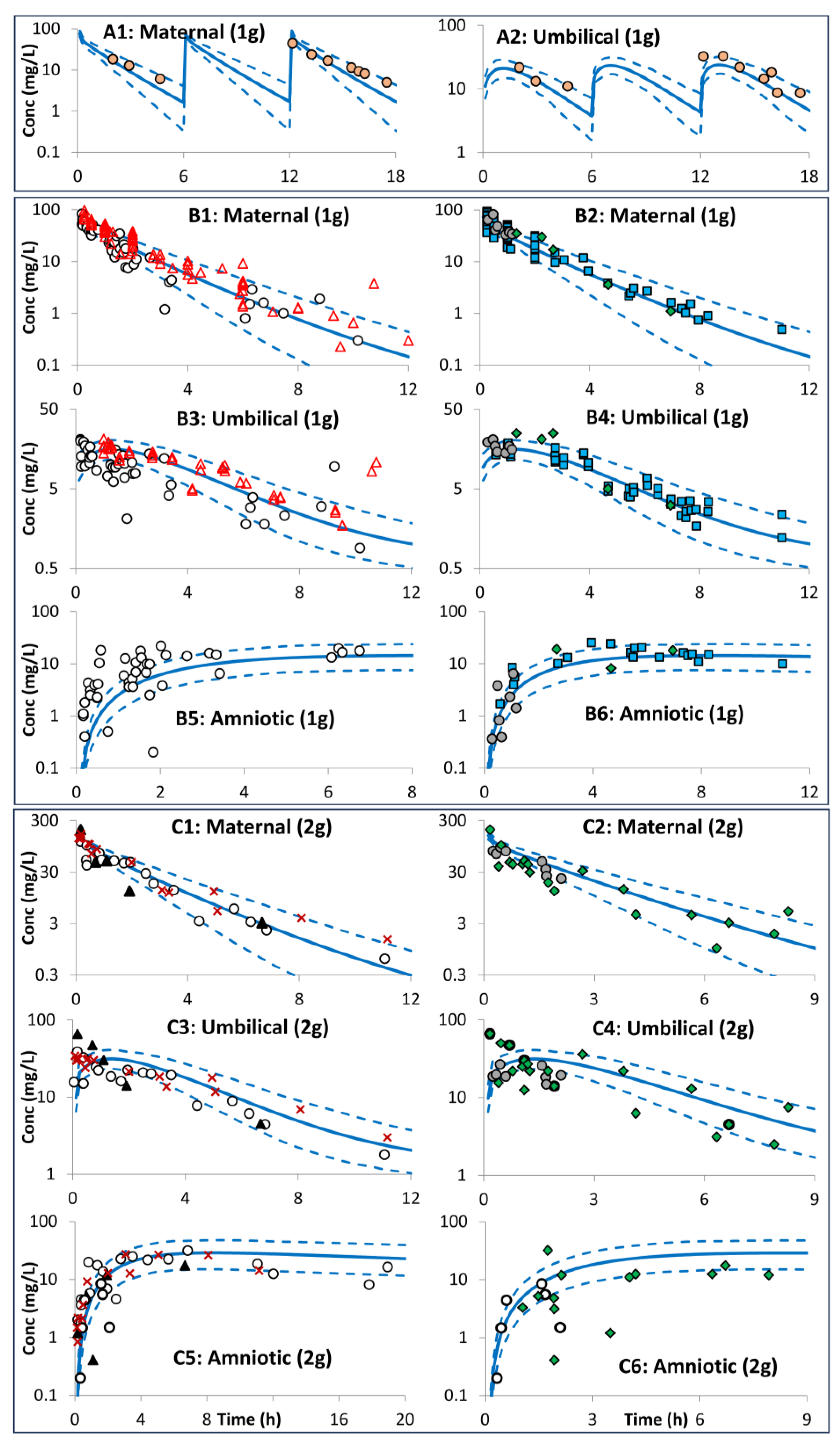Pharmaceutics 16 00474 g004