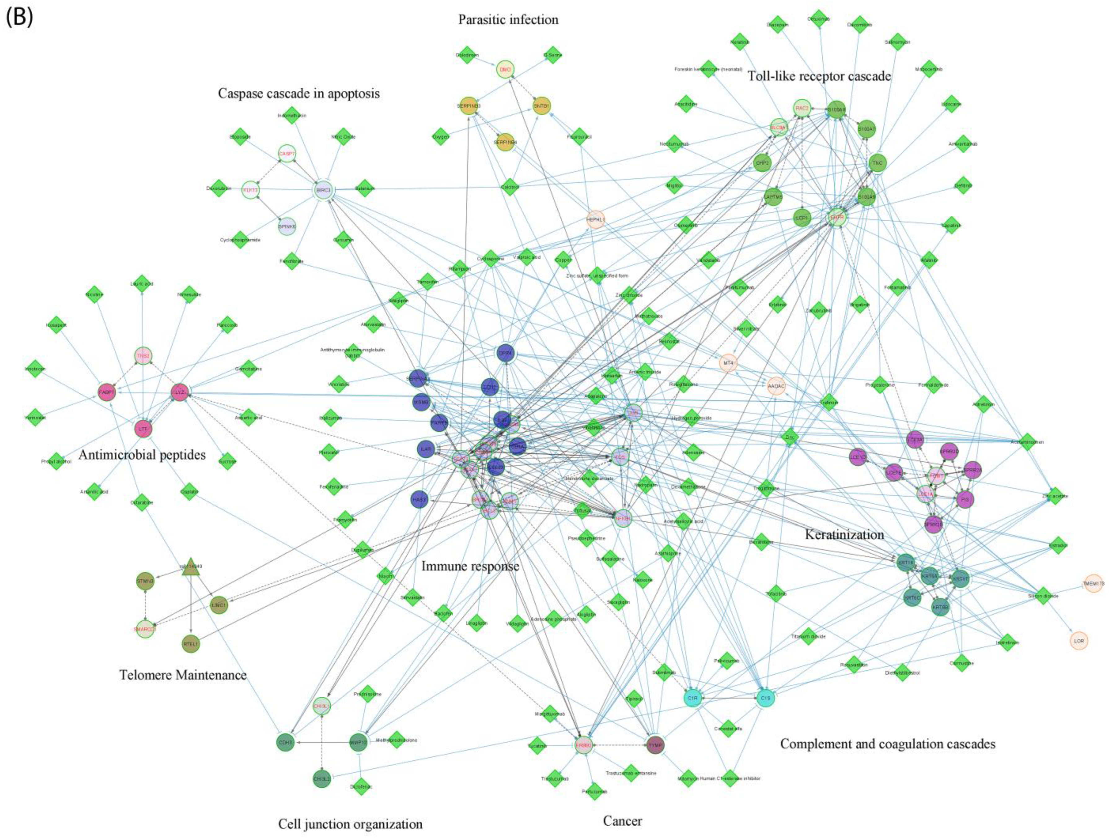 Pharmaceutics 16 00476 g003b