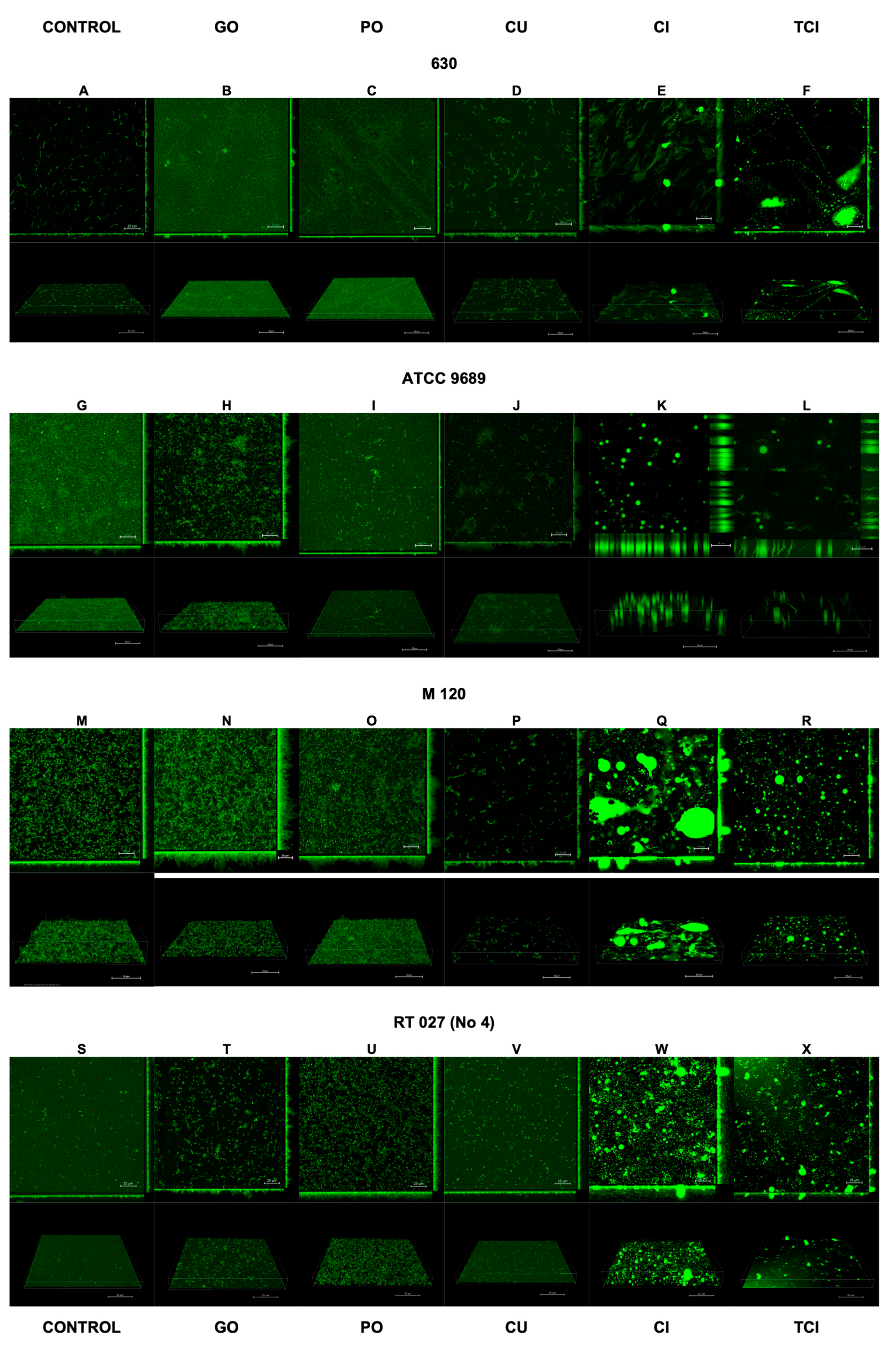 Pharmaceutics 16 00478 g002